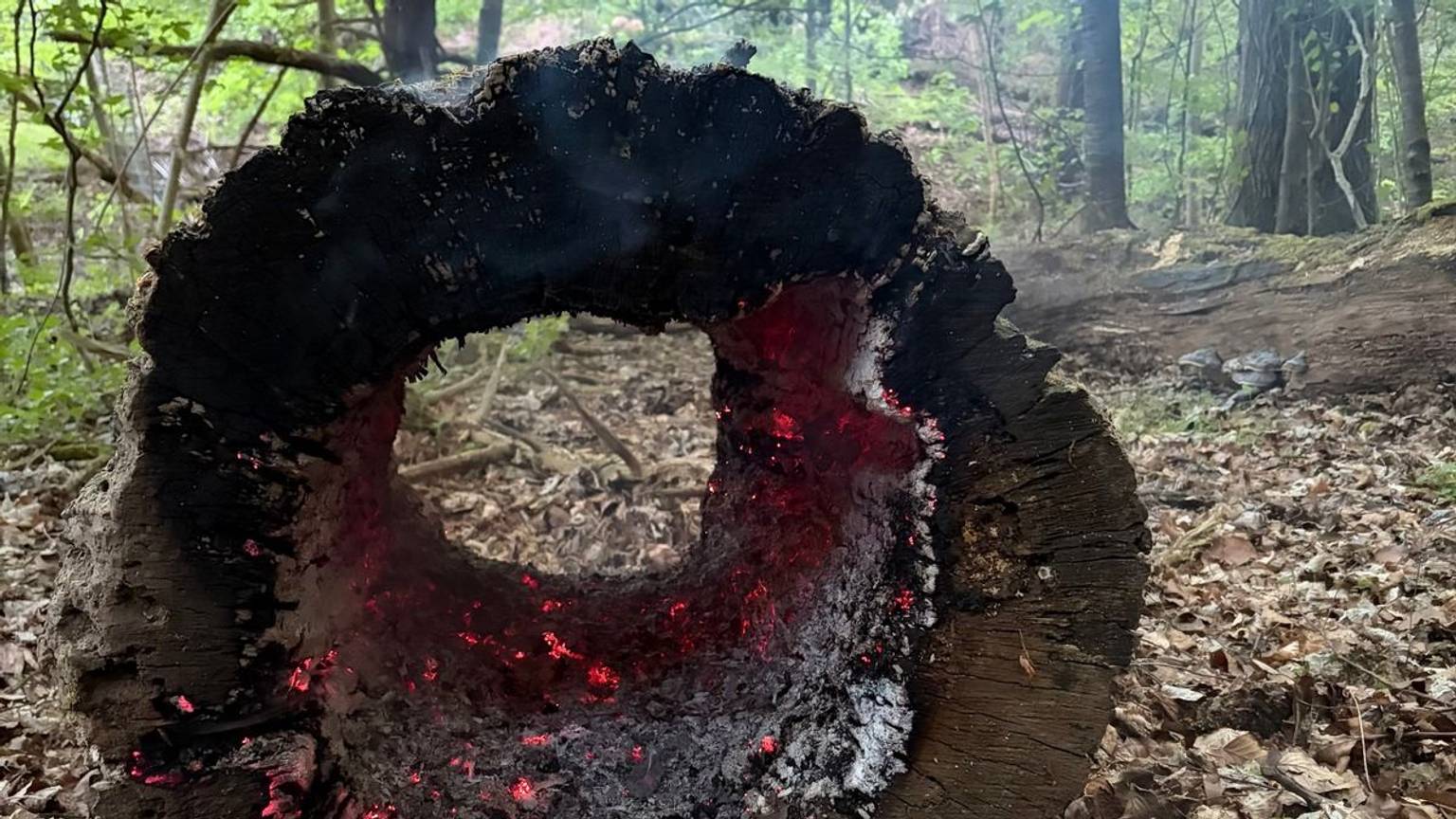 Feuerwehr Rösrath im Einsatz bei einem brennenden Baumstamm.