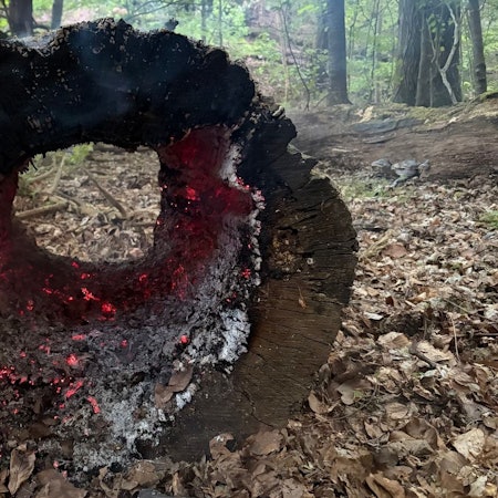 Feuerwehr Rösrath im Einsatz bei einem brennenden Baumstamm.