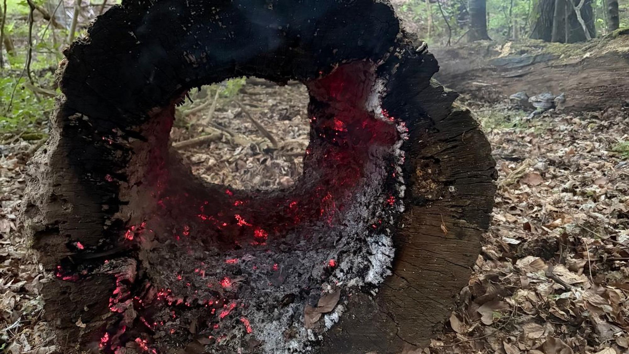 Feuerwehr Rösrath im Einsatz bei einem brennenden Baumstamm.