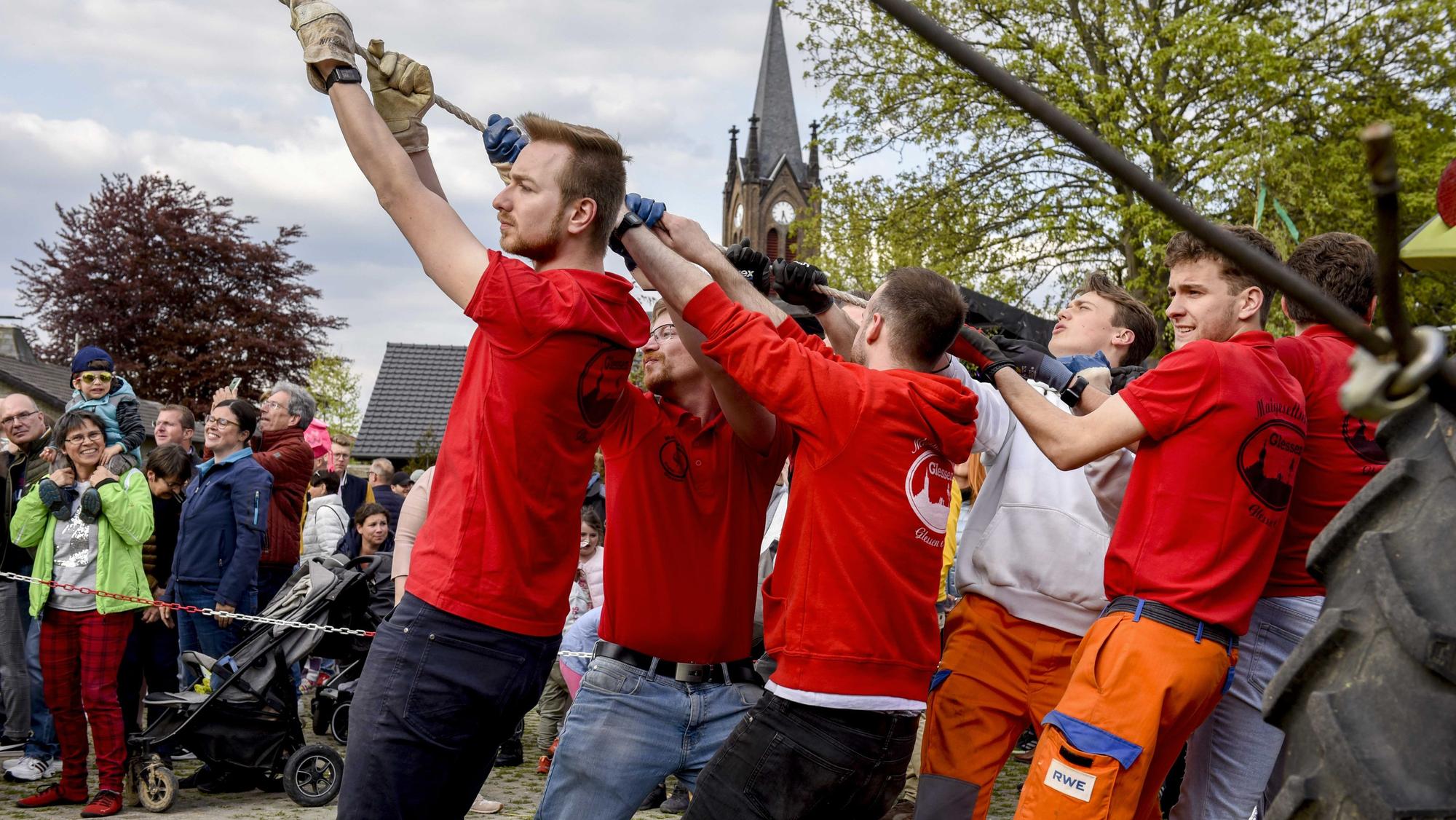 Mit vereinten Kräften und „Stippen“ zogen, schoben und wuchteten die Herren der Maigesellschaft Glessen den Maibaum in die Höhe.