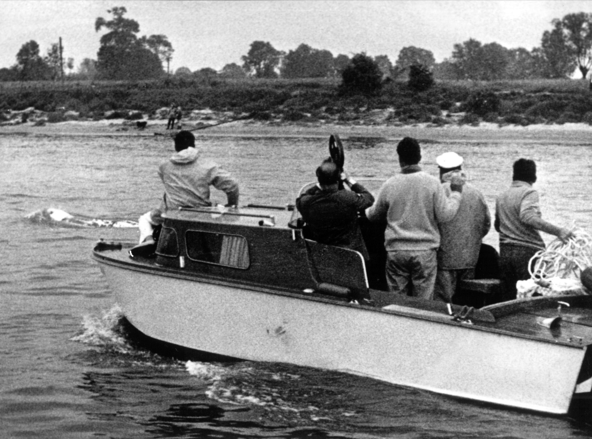 Sensation 1966 - Der weiße Wal im Rhein