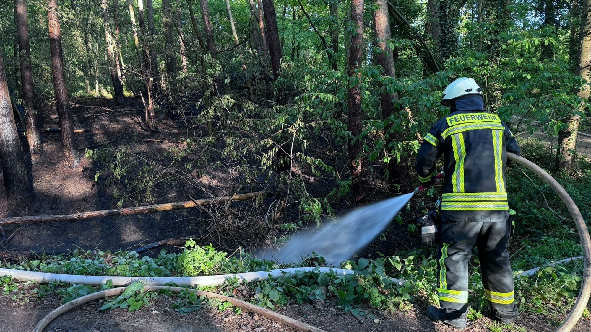 Das Bild zeigt einen Feuerwehrmann, der Glutnester im Wald ablöscht.