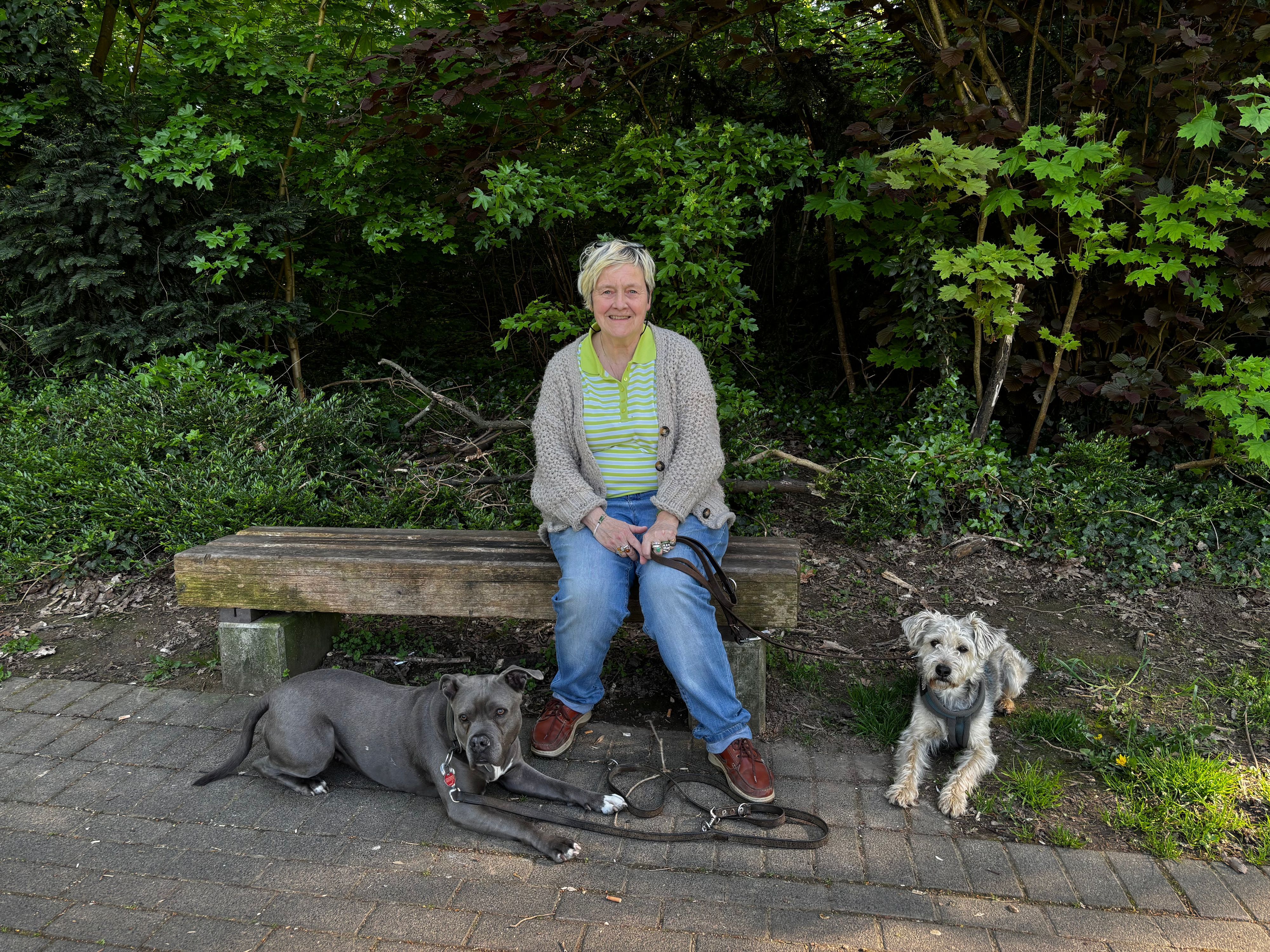 Susanne Kramarz-Bein sitzt auf einer Bank. Die Hunde liegen brav neben ihr.