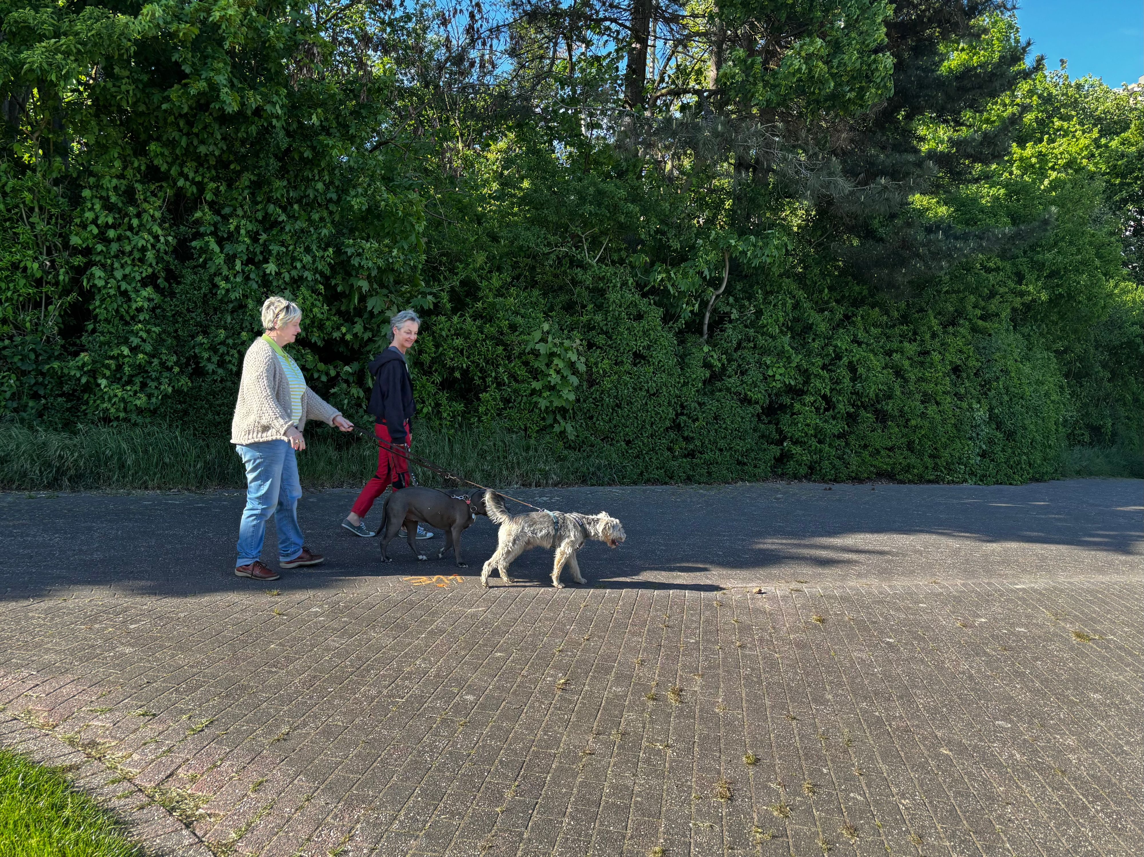 Die beiden Frauen gehen einen Weg im Park entlang.