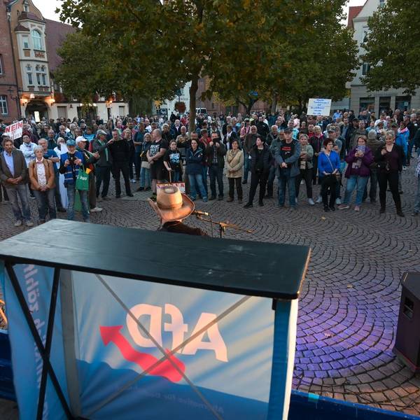 AfD