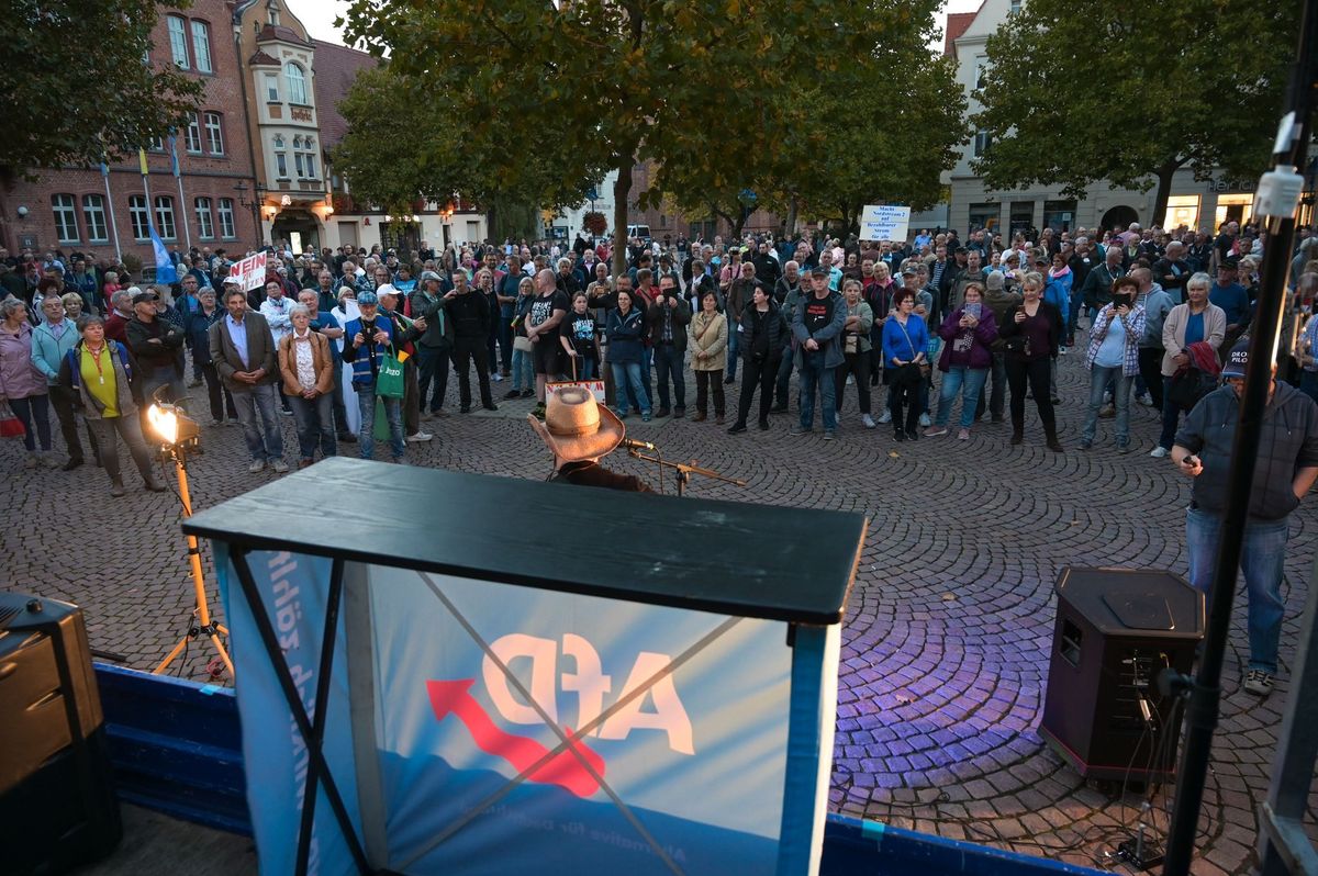 AfD feiert in Schönebeck: Familienfest als Wahlkampfauftakt unter dem Banner der EU-Rechtsfraktion — image 2