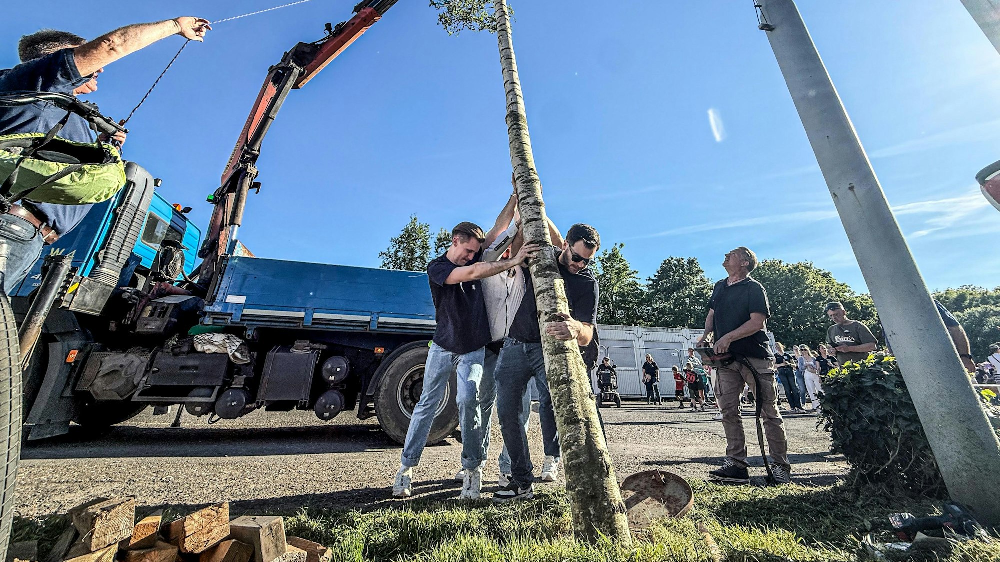 Alle müssen kräftig anpacken beim Aufstellen des Maibaums.