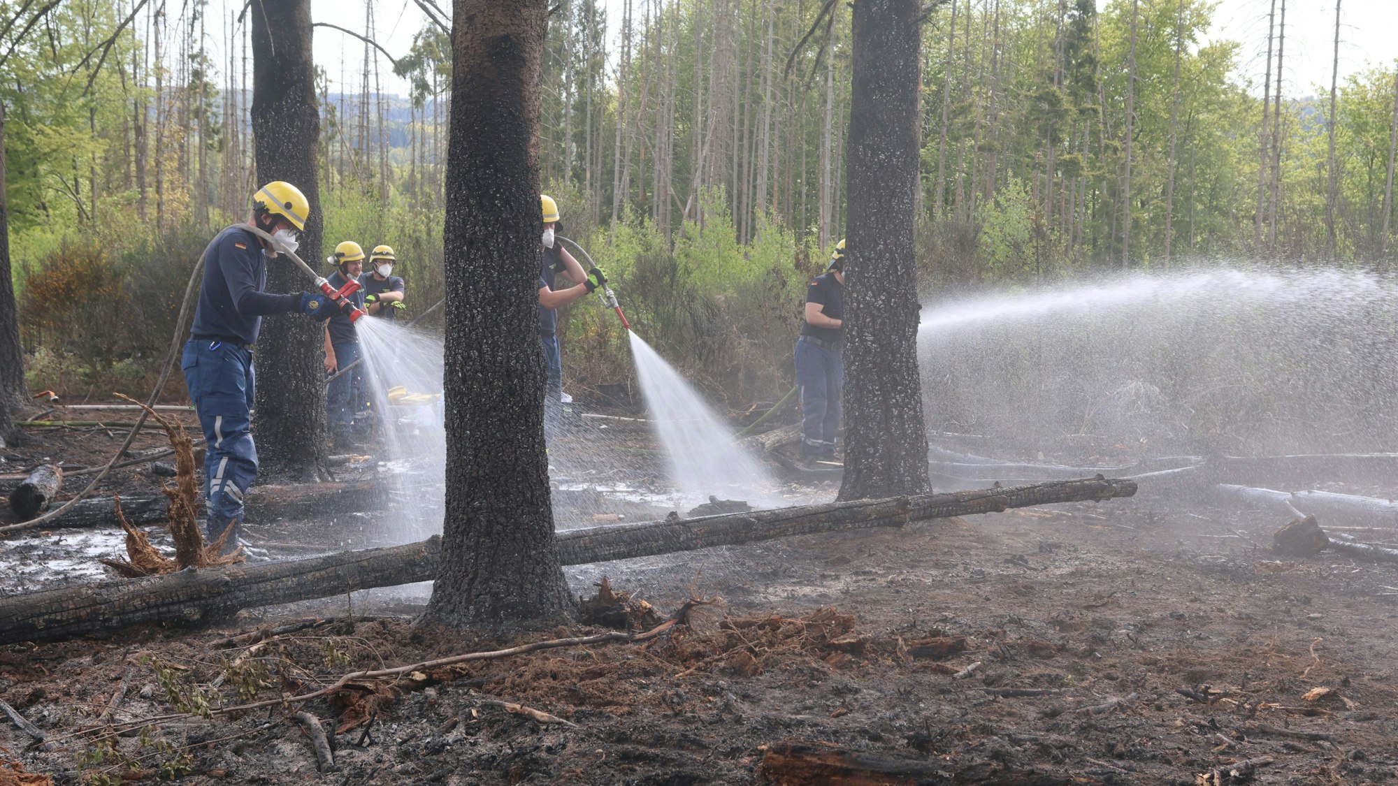 Feuerwehrleute löschen Glutnester in einem Wald.