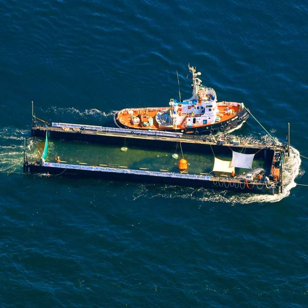 Der Buckelwal „Timmy“ wurde in seiner Barge auf das offene Meer gezogen.