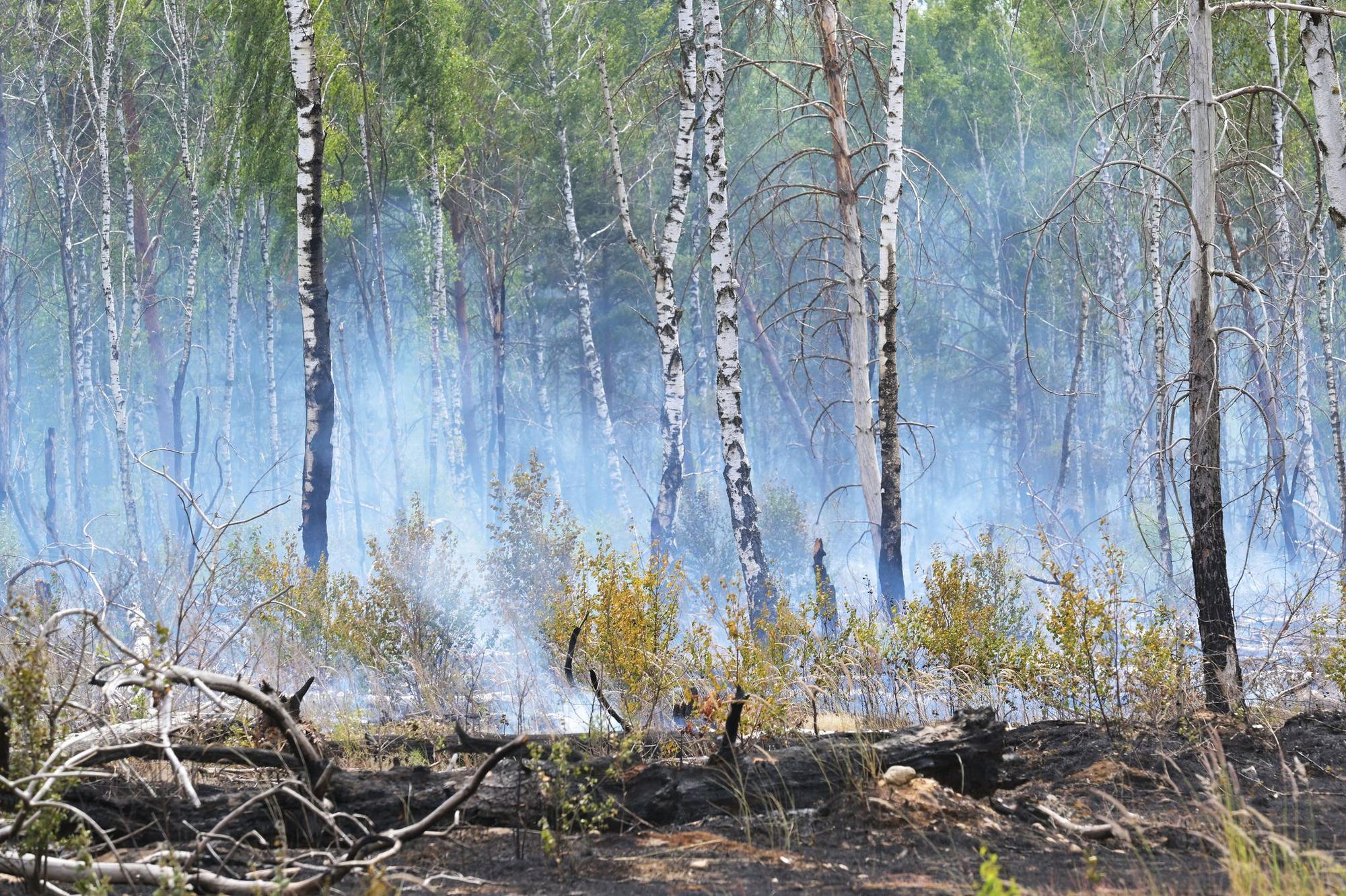 Waldbrand bei Jüterbog