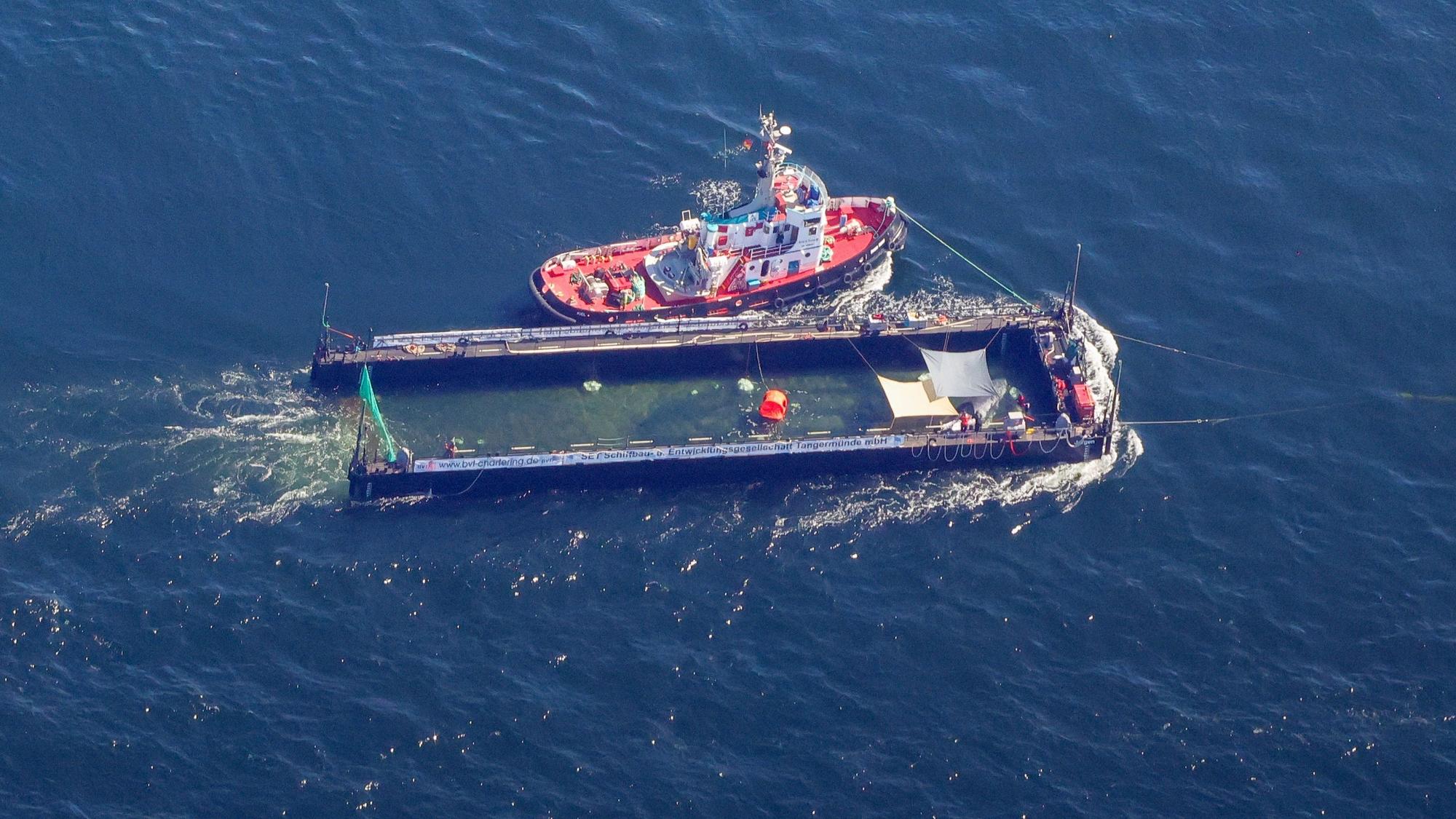 Der Buckelwal wird in seiner Barge vom Schlepper Fortuna B entlang der dänischen Küste in Höhe unterhalb von Skagen, im sogenannten Skagerrak, durch die Ostsee gezogen (Luftaufnahme aus einem Flugzeug).
