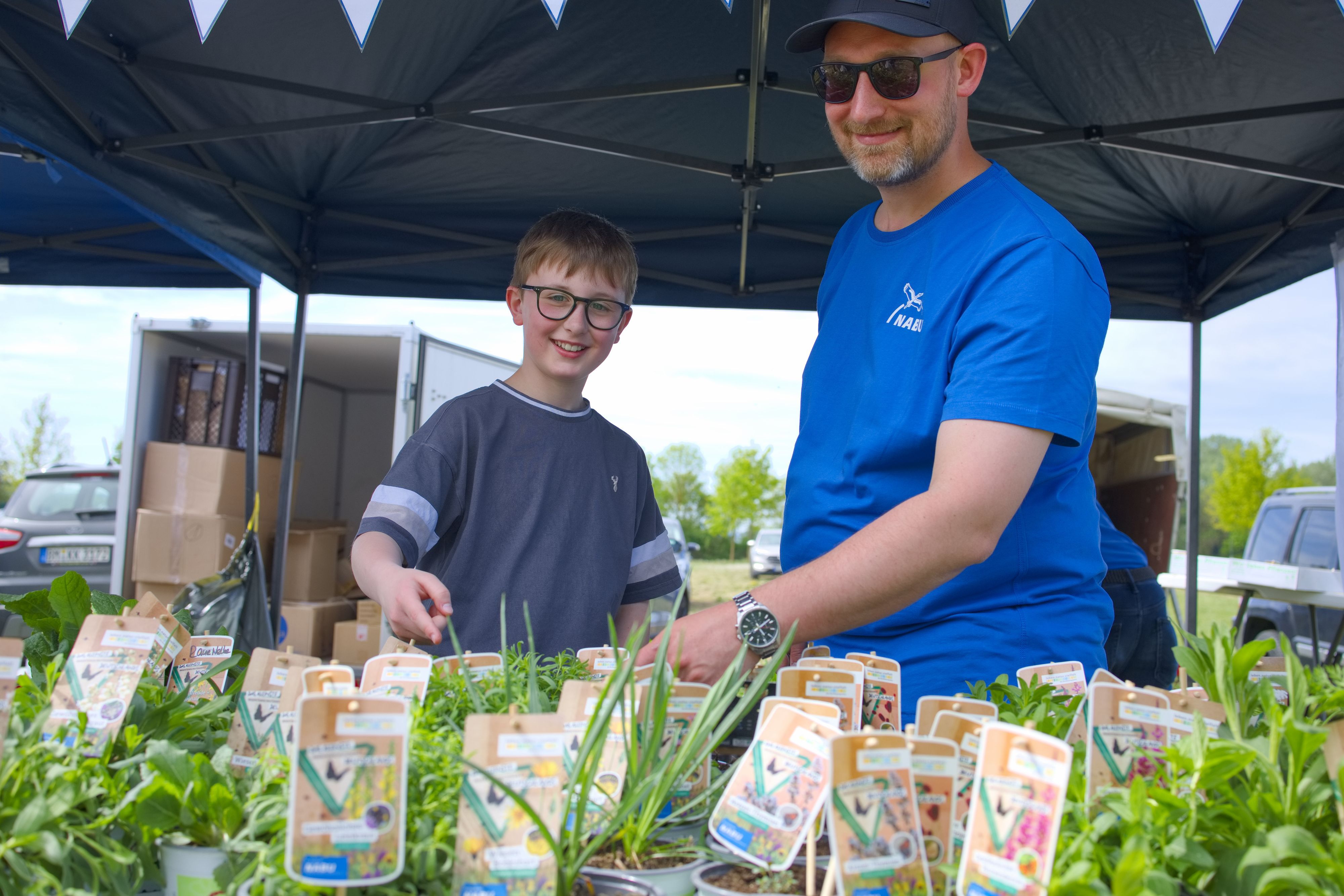 Am Stand des Nabu stehen viele Töpfe mit ökologisch wertvollen Pflanzen.