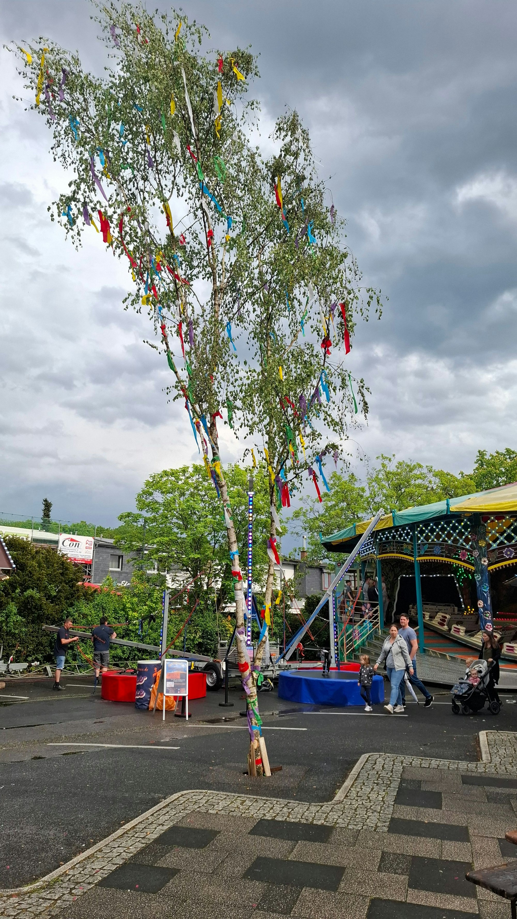 Der Alkenrather Maibaum ist in diesem Jahr sechs Meter hoch.