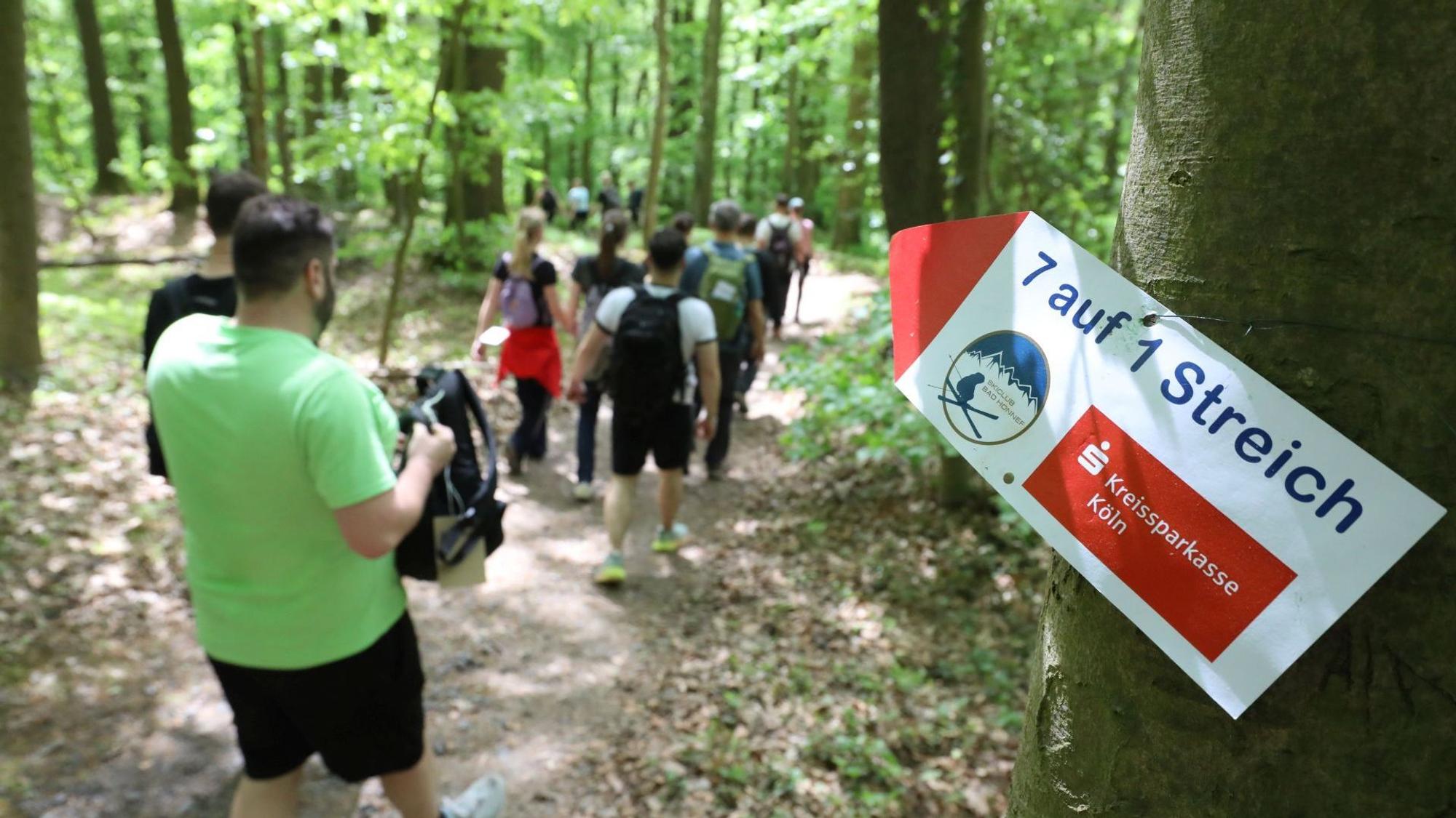 Die Wanderung „7 auf einen Streich“ im Siebengebirge konnte einen neuen Teilnehmerrekord von 1776 Startern verzeichnen.