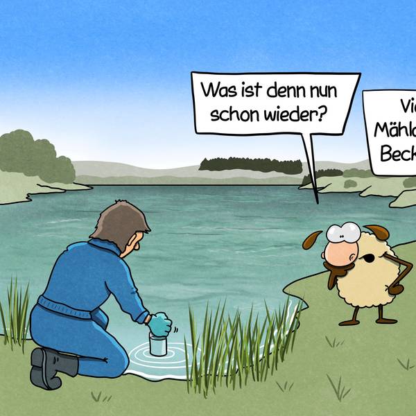 Zwei Schafe an einem See beobachten einen Menschen, der eine Wasserprobe entnimmt. Das eine Schaf überlegt: „Was ist denn nun schon wieder?“ Das andere Schaf sagt: „Vielleicht hat Mählanie wieder ins Becken gemacht?“