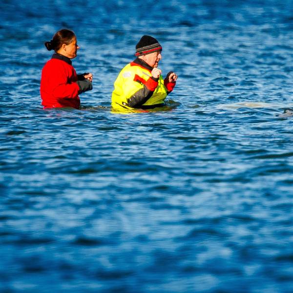 Mecklenburg-Vorpommerns Umweltminister Till Backhaus (SPD, r) geht durch das Wasser zum gestrandeten Buckelwal vor der Insel Poel.