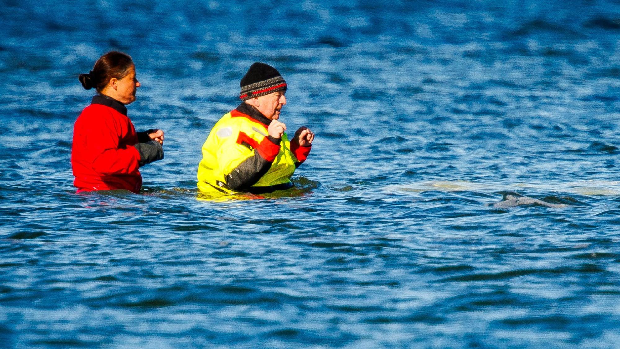 Mecklenburg-Vorpommerns Umweltminister Till Backhaus (SPD, r) geht durch das Wasser zum gestrandeten Buckelwal vor der Insel Poel.