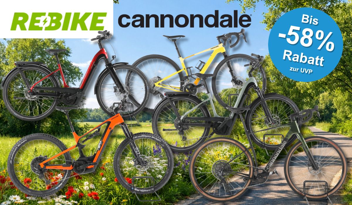 Verschiedene Cannondale Fahrräder vor einem Radweg abgebildet.