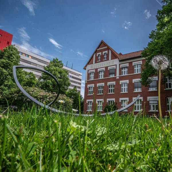 Grünfläche Stadtgrün Rasen und Musikschule Leverkusen Bild: Ralf Krieger