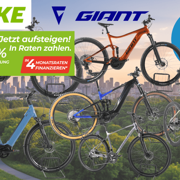 Mehreren refurbished Giant E-Bikes verschiedener Kategorien – darunter vollgefederte E-Mountainbikes, ein City-E-Bike mit tiefem Einstieg sowie Trekking- und SUV-E-Bikes – vor einer Stadtpanorama-Kulisse mit grüner Parklandschaft im Vordergrund. Logos von Rebike und Giant sind oben abgebildet.