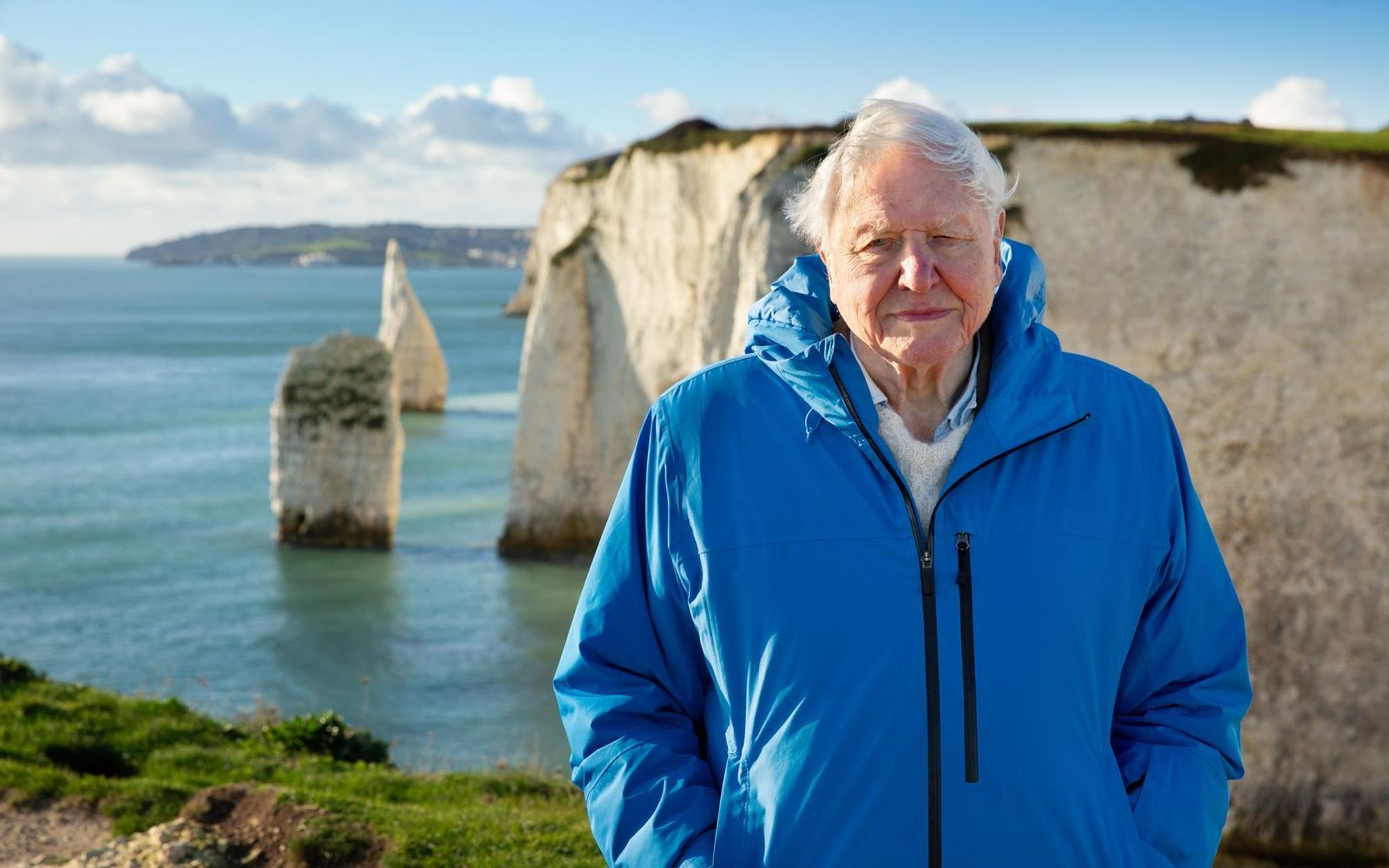 David Attenborough vor der Naturkulisse im Rahmen der Kino-Doku „Ozean mit David Attenborough“ (2025), bei der er auch als Autor fungierte. (Bild: National Geographic)