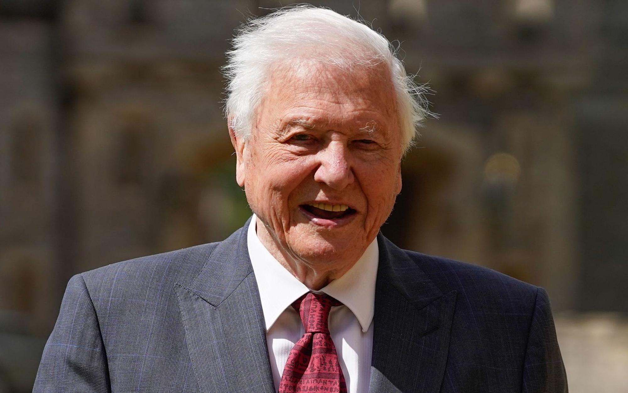 Sir David Attenborough feiert am 8. Mai seinen 100. Geburtstag. (Bild: 2022 Getty Images/Pool)