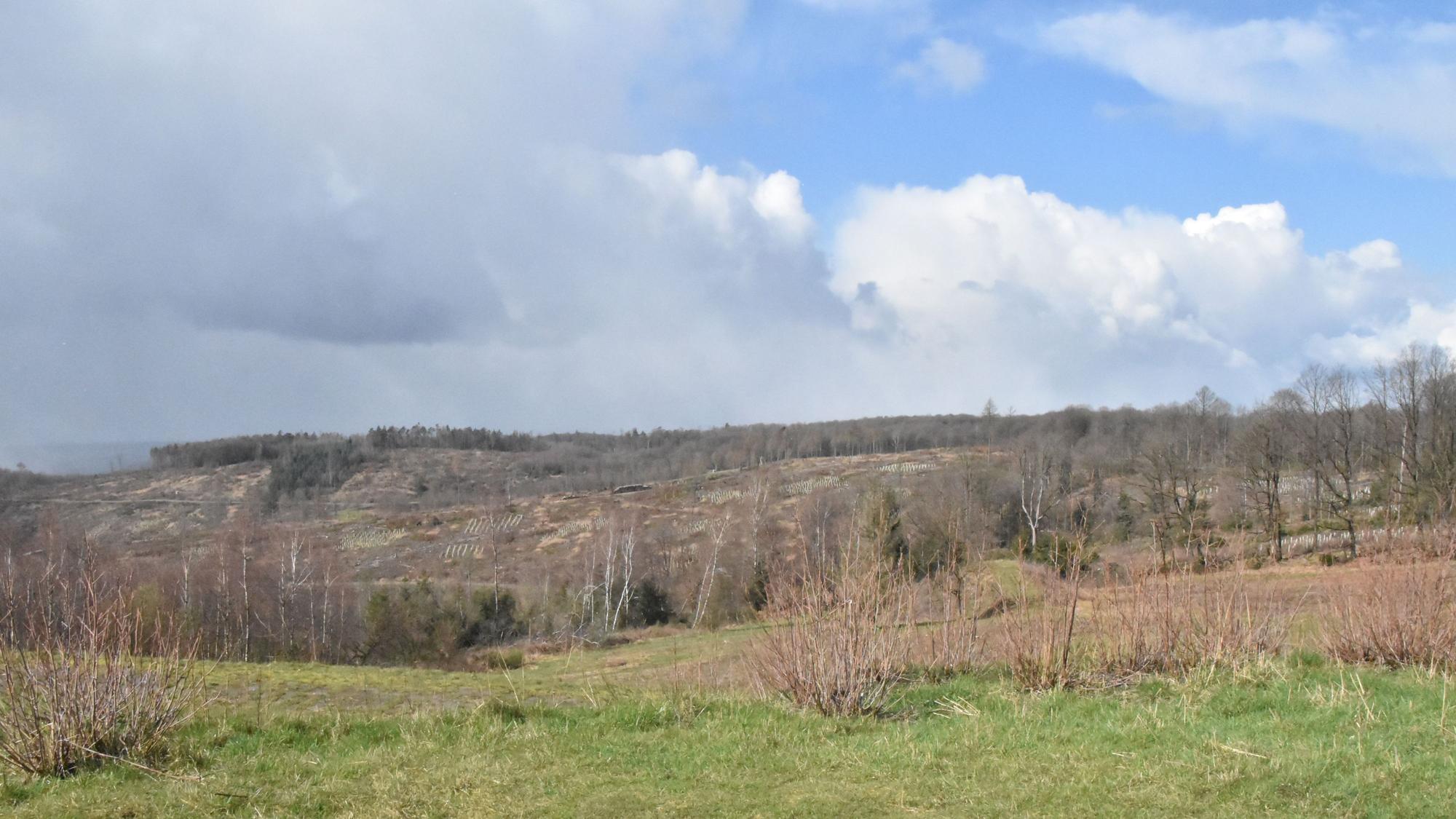 Blick vom Hohen Wäldchen Richtung Westen.