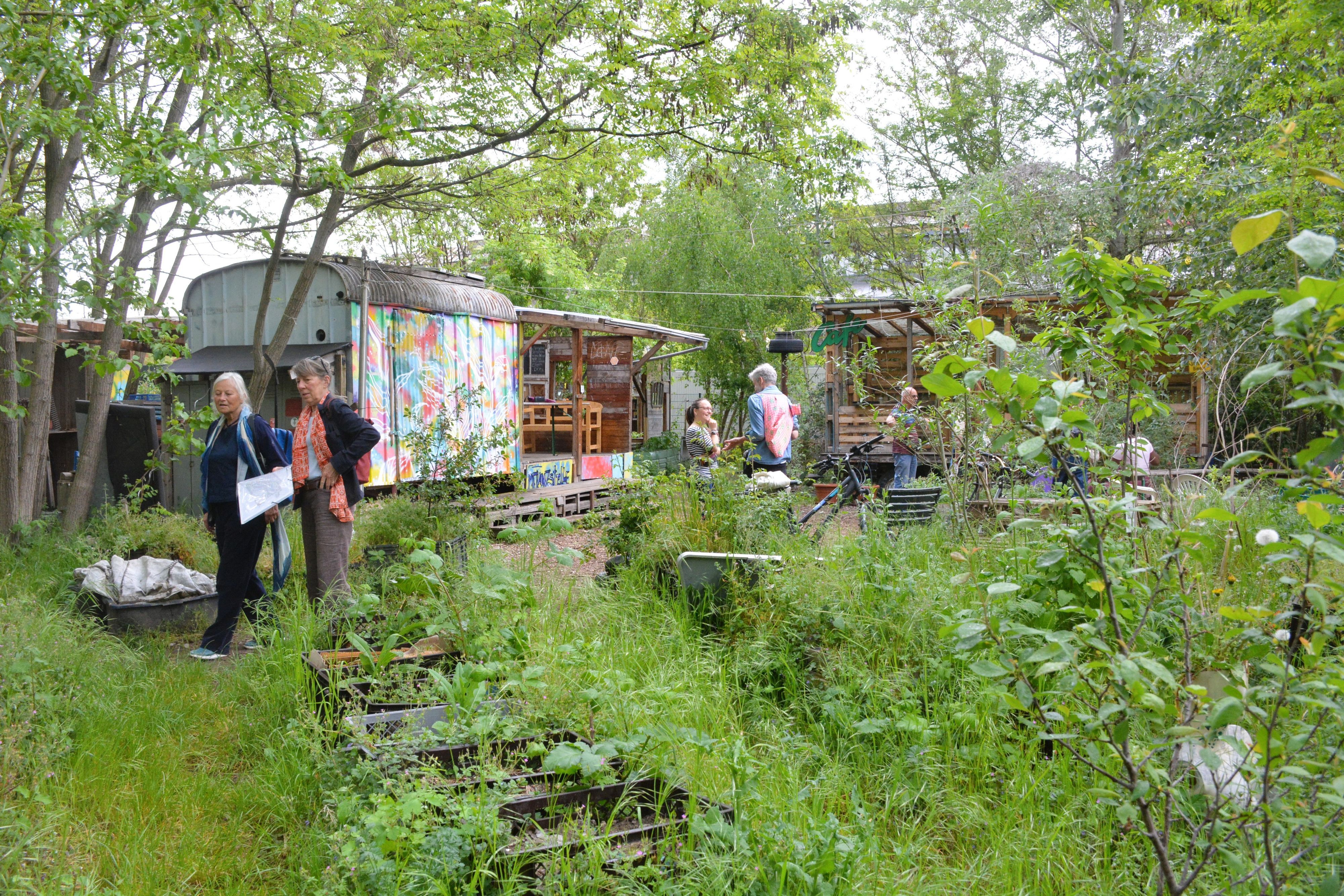 Menschen laufen durch den Gemeinschaftsgarten Pflanzstelle.