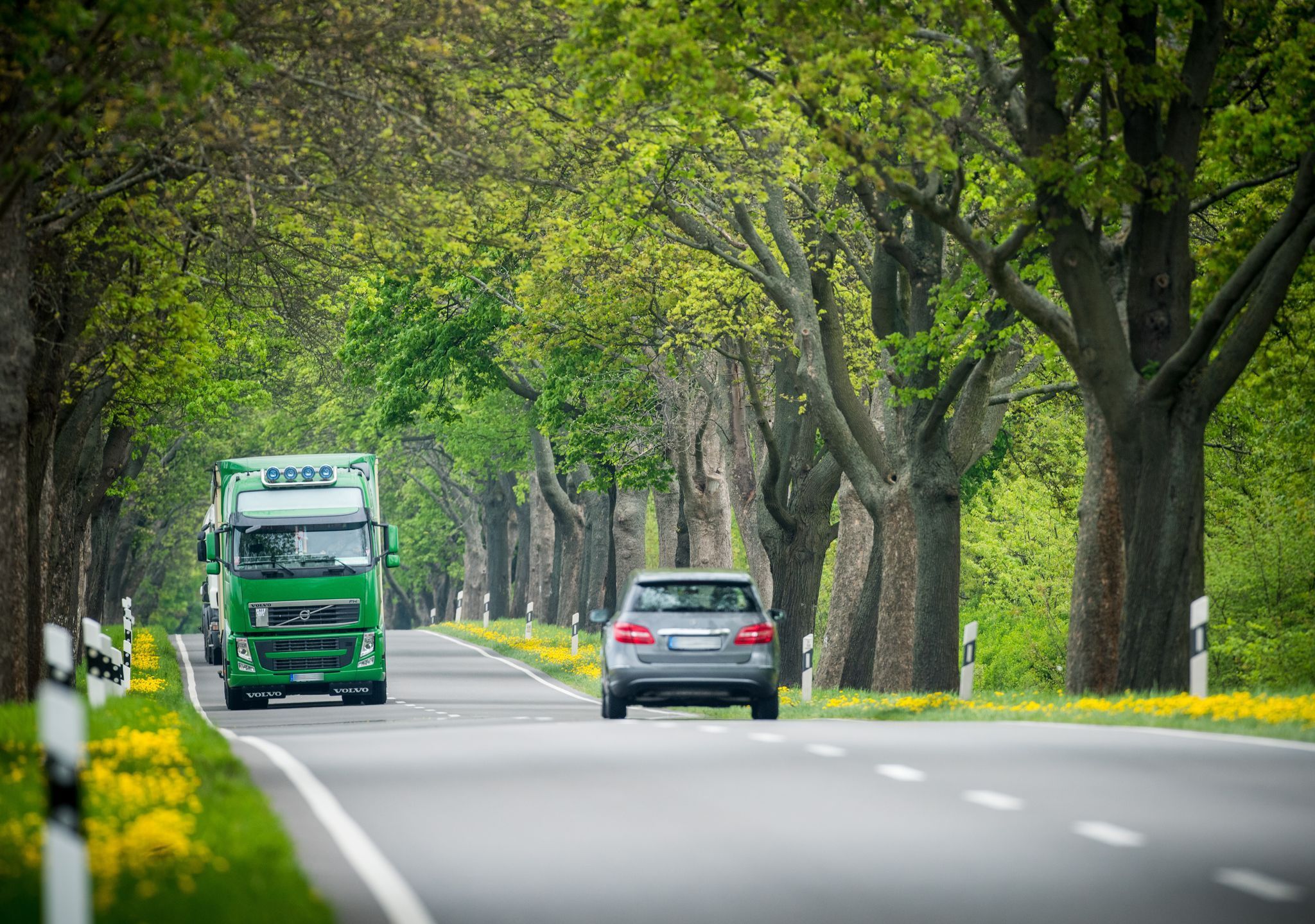 Lkw und Pkw fahren auf einer Landstraße