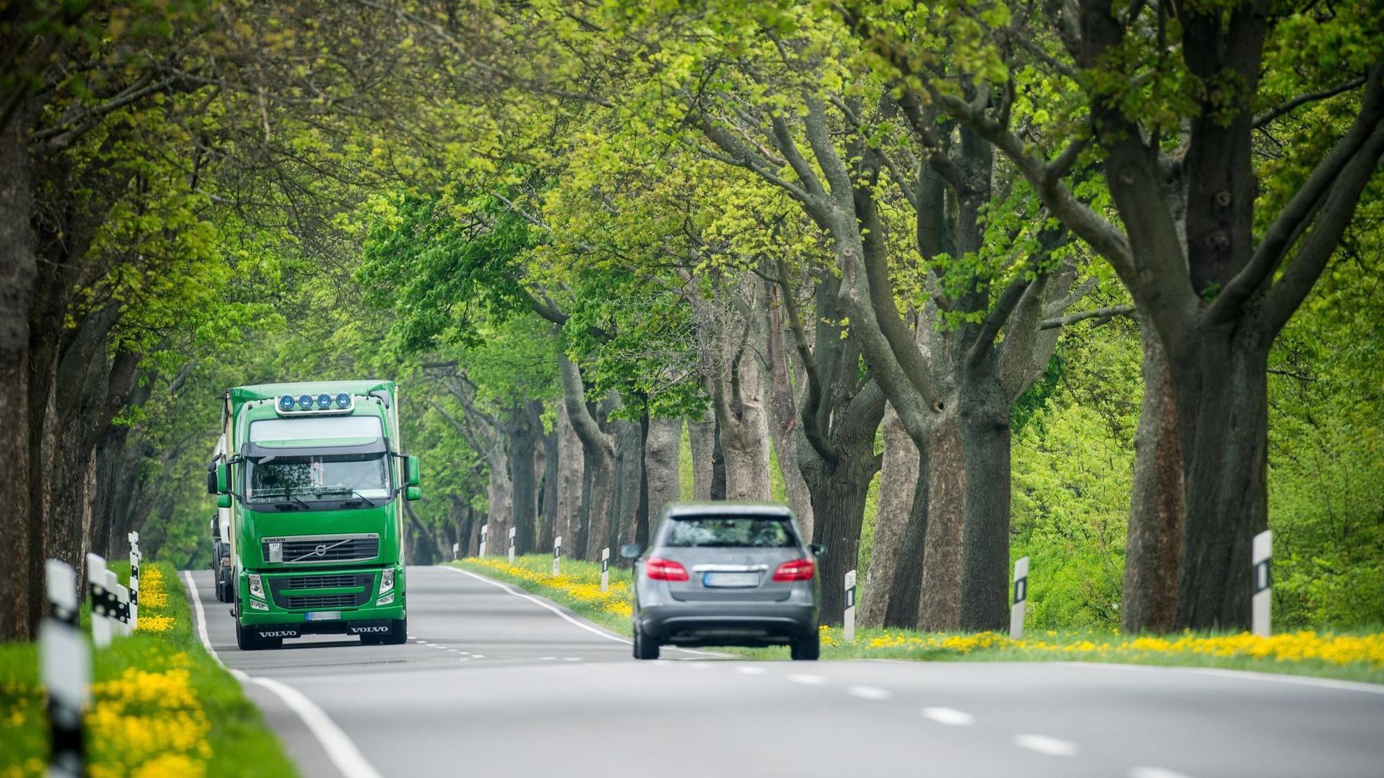 Lkw und Pkw fahren auf einer Landstraße