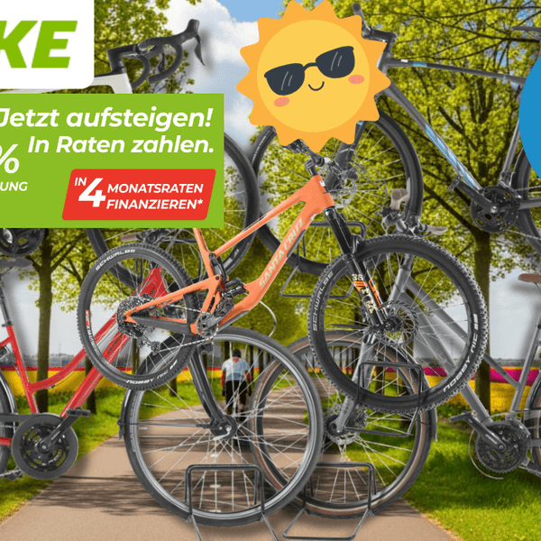 4 verschiedene Fahrräder vor einem Radweg im Frühling.