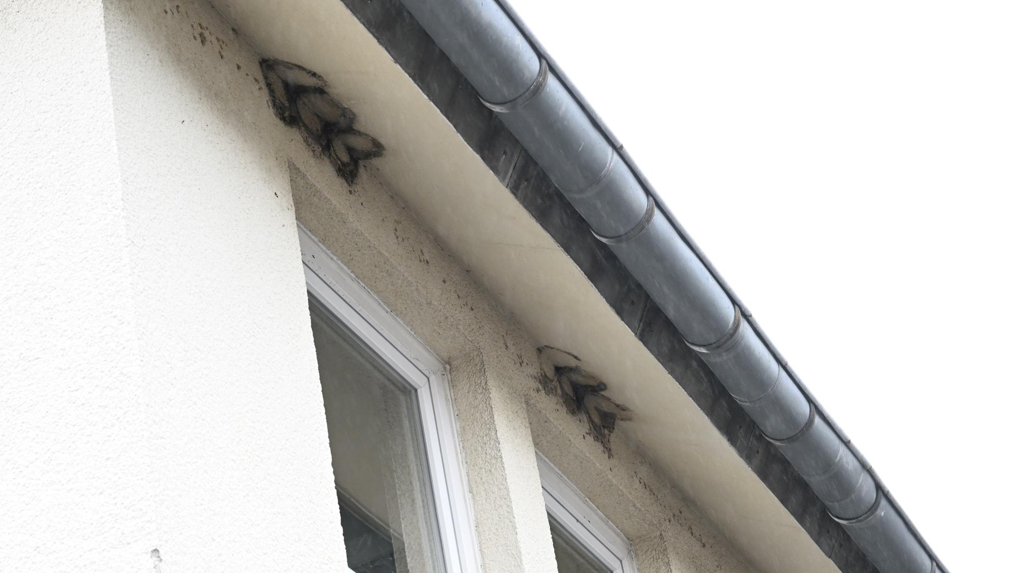 Zu sehen sind Reste von entfernten Mehlschwalbennestern.