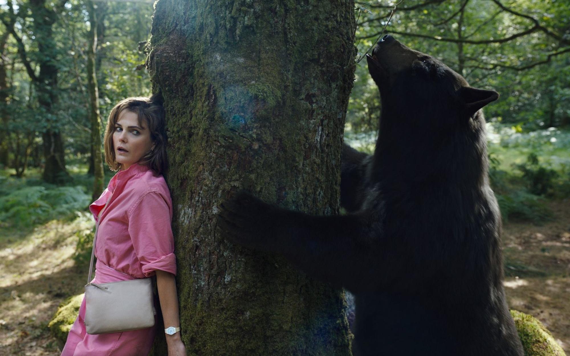 Rund um „Cocaine Bear“ entstand ein beachtlicher Hype. (Bild: Universal Studios)