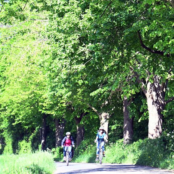 Im Frühling geht es mit dem Rad raus in die Sonne.