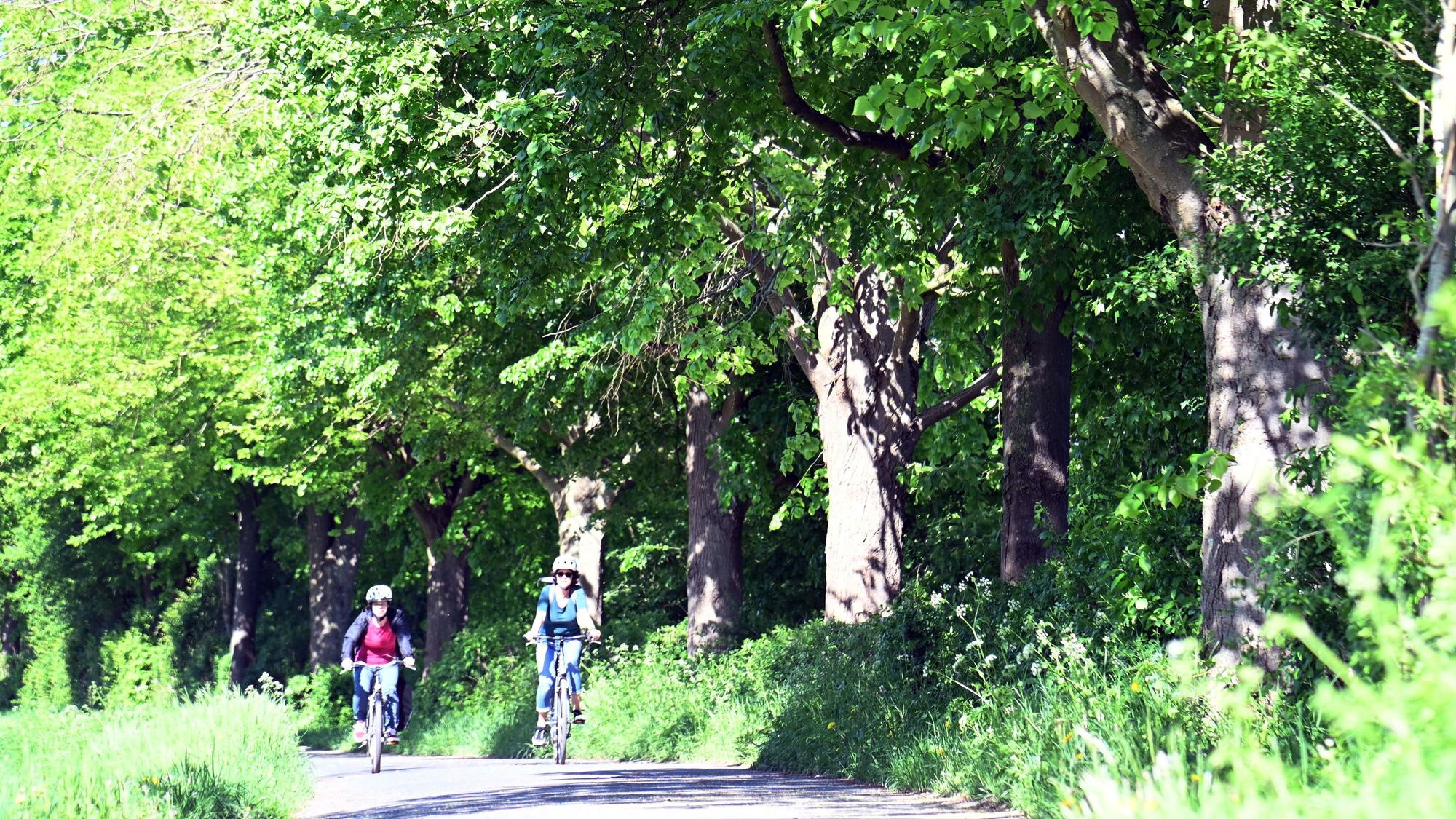 Im Frühling geht es mit dem Rad raus in die Sonne.