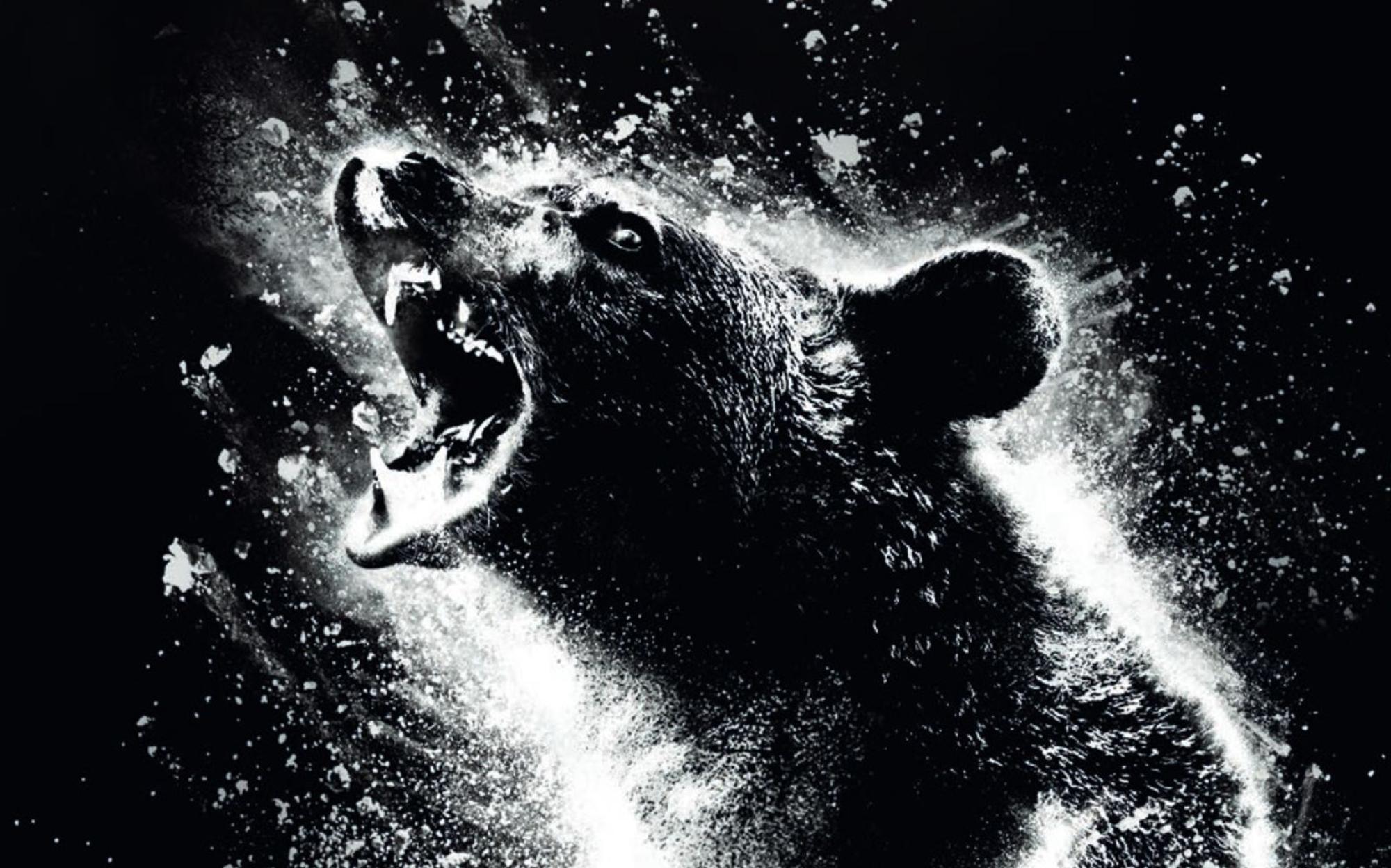 „Cocaine Bear“ erzählt von einem Bären, der im Koks-Rausch zur blutrünstigen Bestie wird. (Bild: 2023 Universal Studios)