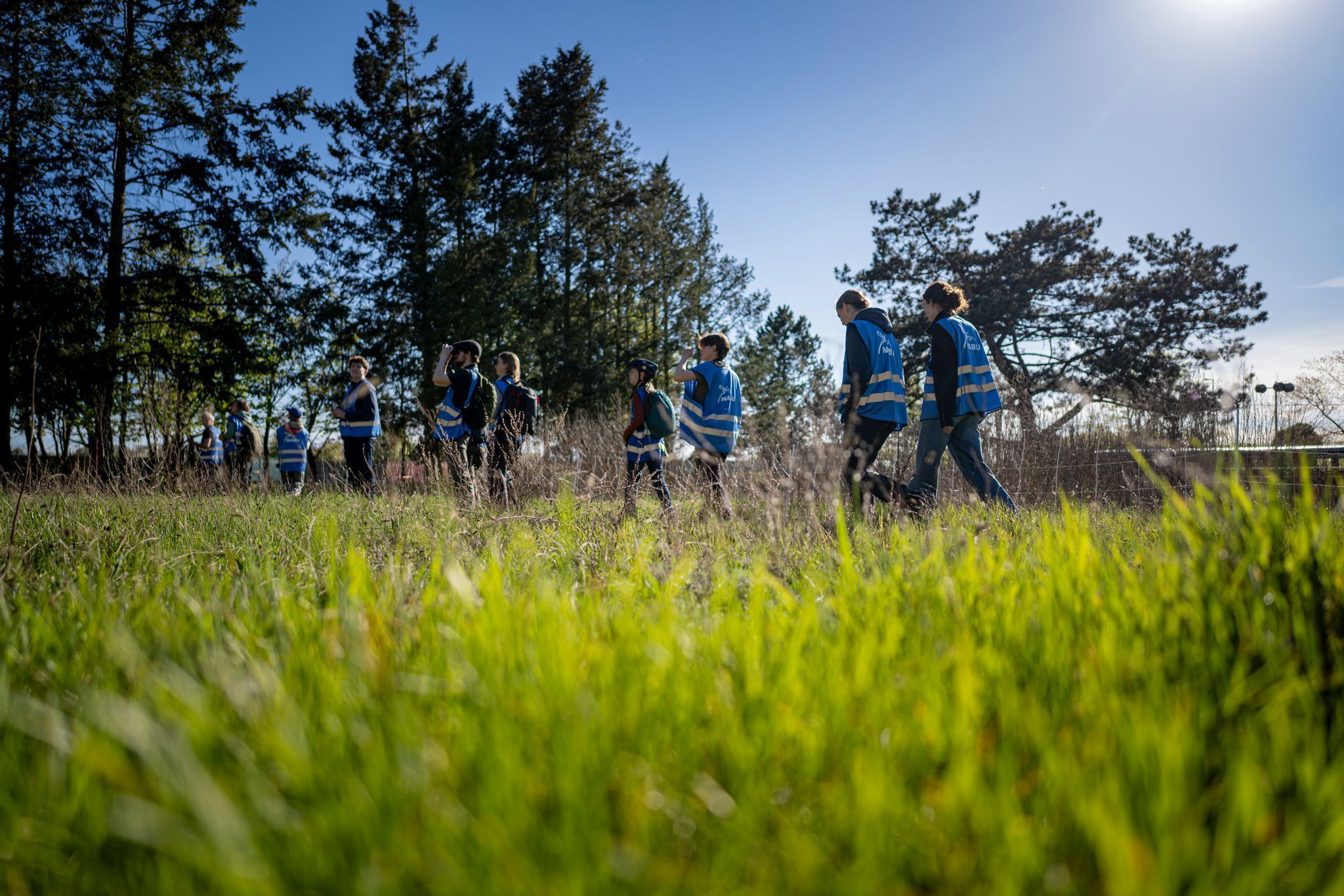 Young Birders Club