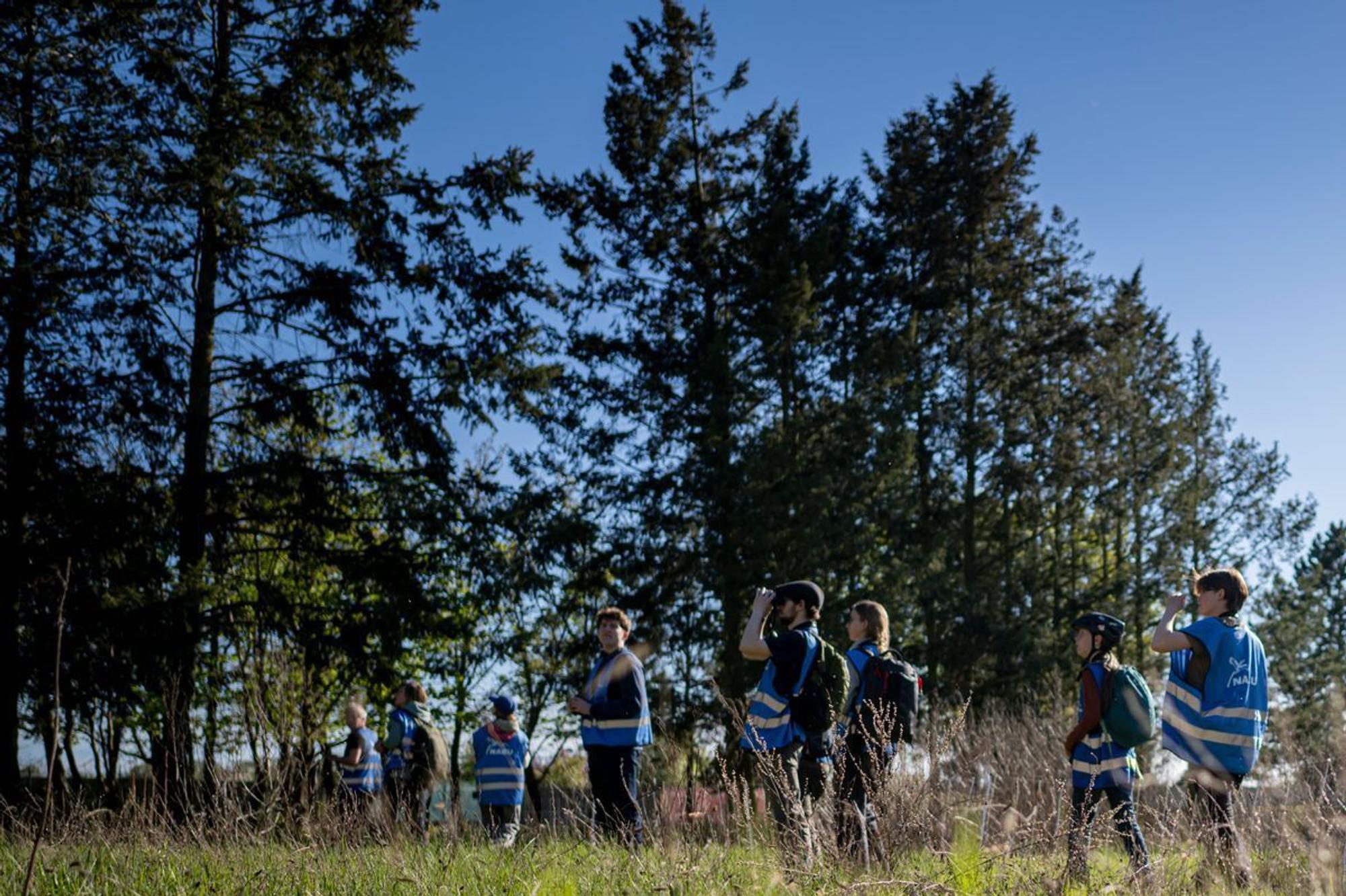 Young Birders Club
