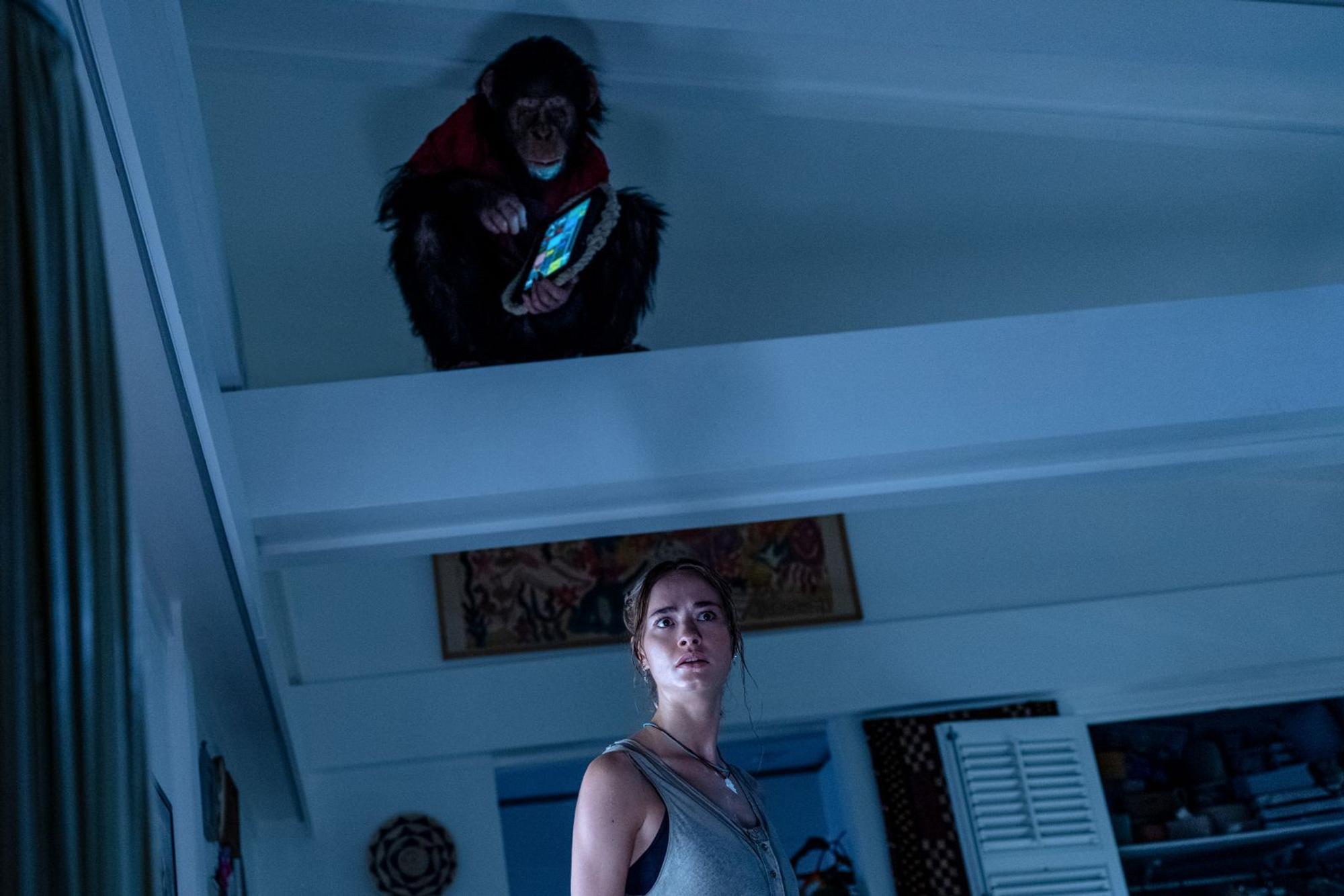 Für Lucy (Johnny Sequoyah) ist der Schimpanse Ben so etwas wie ein Familienmitglied. Aber in Familien passieren ja manchmal die schlimmsten Tragödien ... (Bild: Leonine/2026 Paramount Pictures)