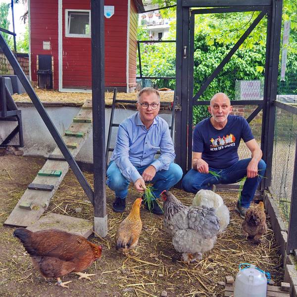 Zwei Männer hocken in einem Hühnergehege, in dem vier Tiere unterschiedlichster Arten zu sehen sind.