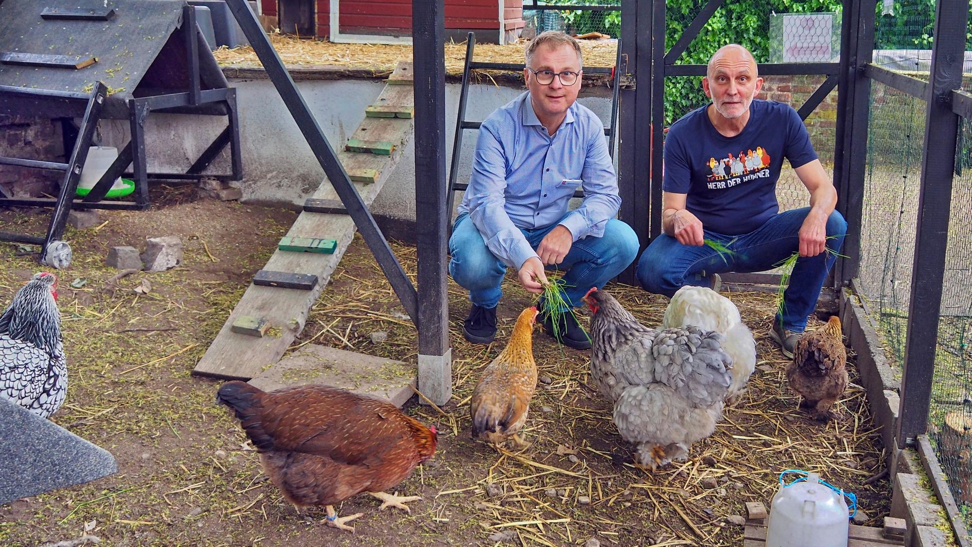 Zwei Männer hocken in einem Hühnergehege, in dem vier Tiere unterschiedlichster Arten zu sehen sind.