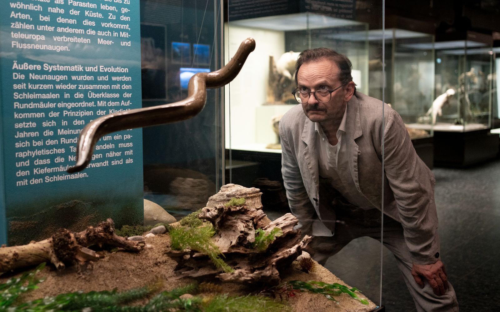 Beim Abgleich der Bissspuren an den Mordopfern mit Bildern im Internet findet Danowski (Milan Peschel) heraus, dass sie von Neunaugen stammen müssen. Im Museum erfährt er mehr über die „lebenden Fossilien“. (Bild: ZDF/Georges Pauly)