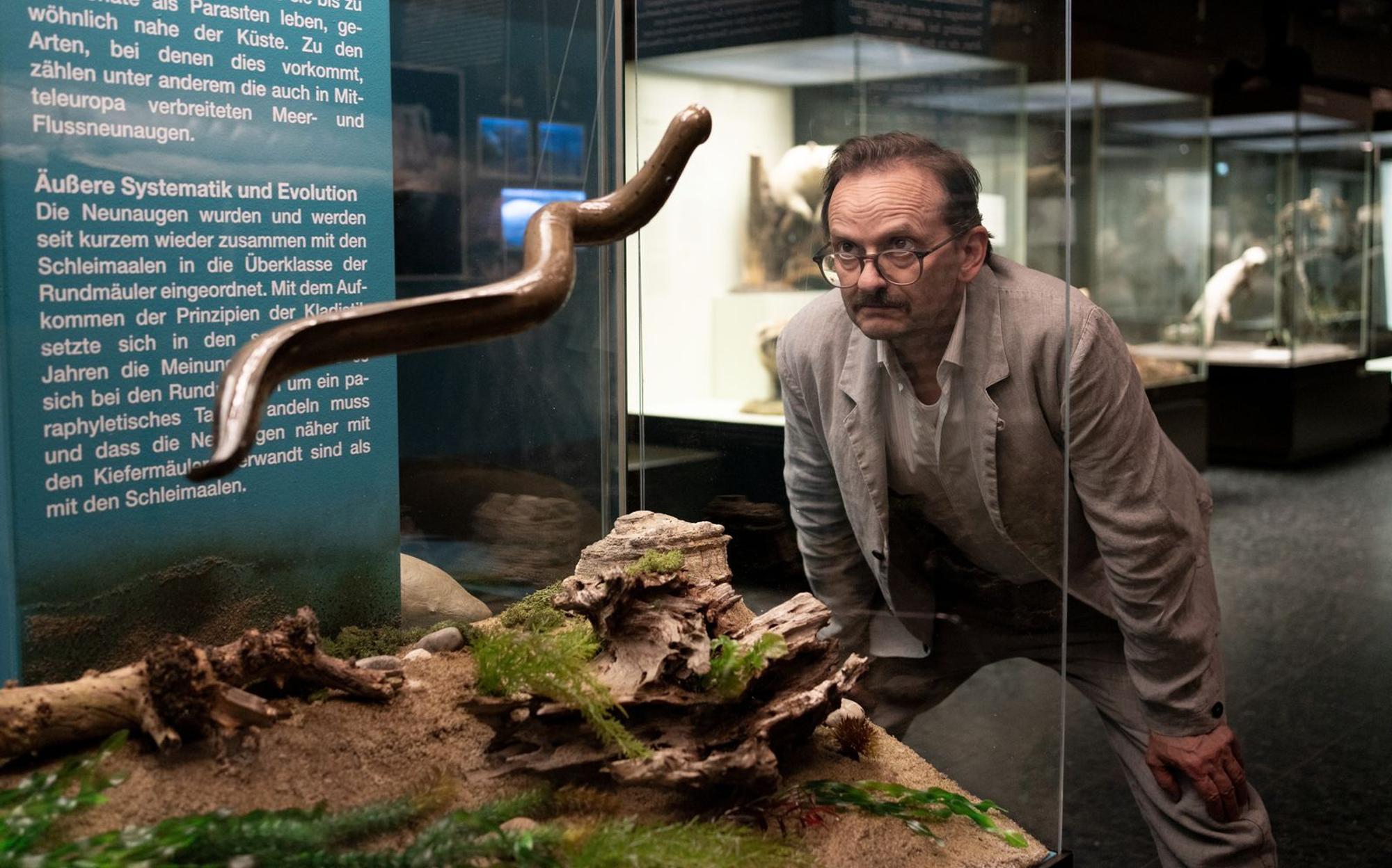 Beim Abgleich der Bissspuren an den Mordopfern mit Bildern im Internet findet Danowski (Milan Peschel) heraus, dass sie von Neunaugen stammen müssen. Im Museum erfährt er mehr über die „lebenden Fossilien“. (Bild: ZDF/Georges Pauly)