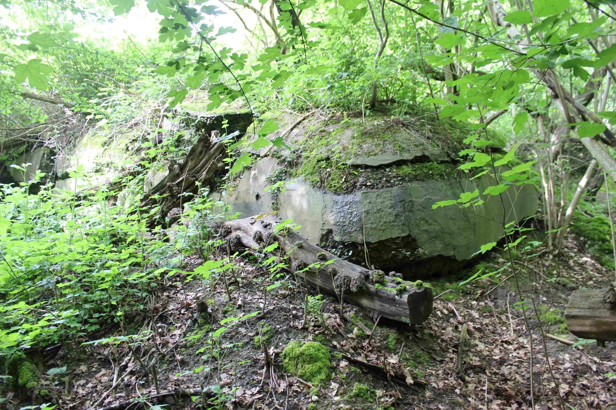 Die Betonreste des Infanteriestützpunkts wachsen im Nüssenberger Busch allmählich zu.