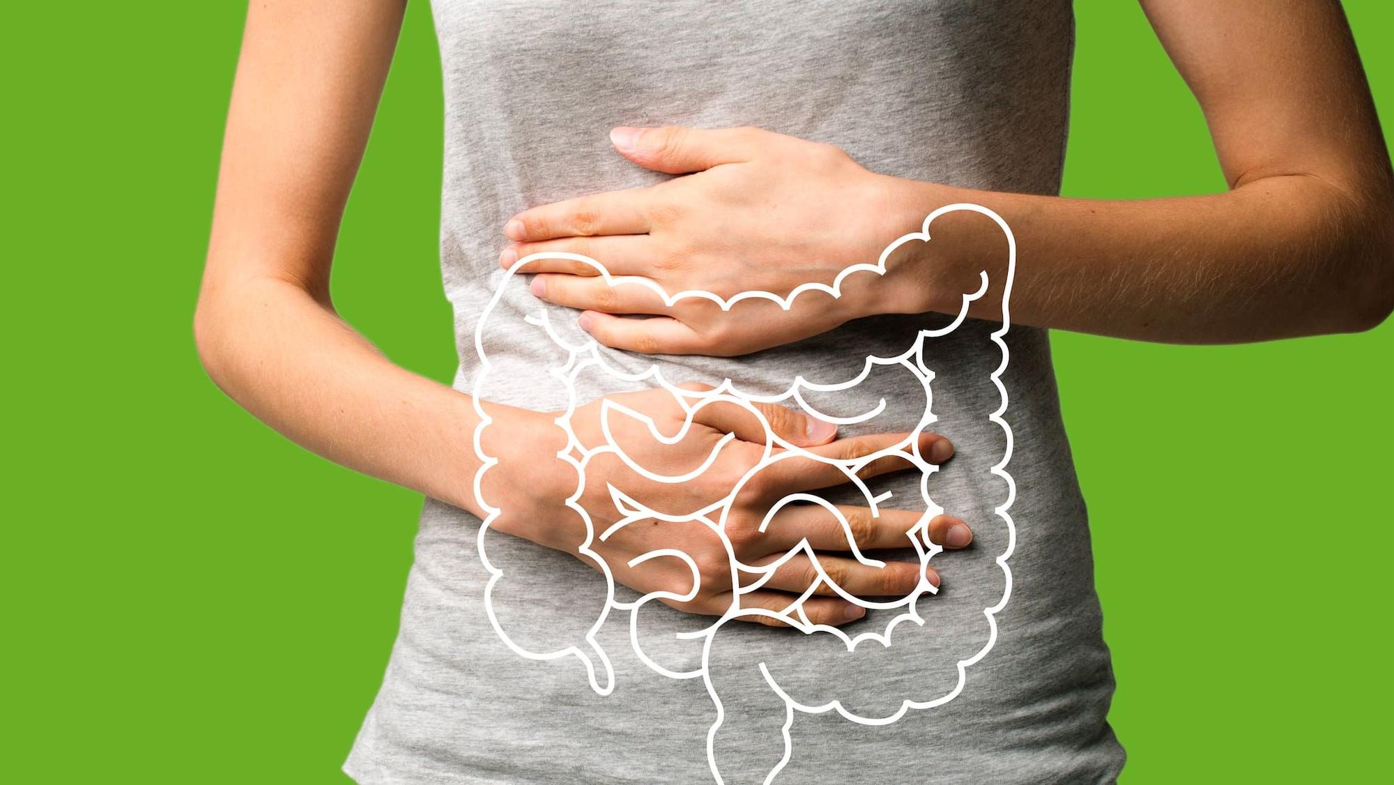 "Offener darüber sprechen": Der Darm ist unser zweites Gehirn – und das einzige Organ im Körper, abgesehen vom zentralen Nervensystem, das ein eigenes Nervensystem hat. . RND