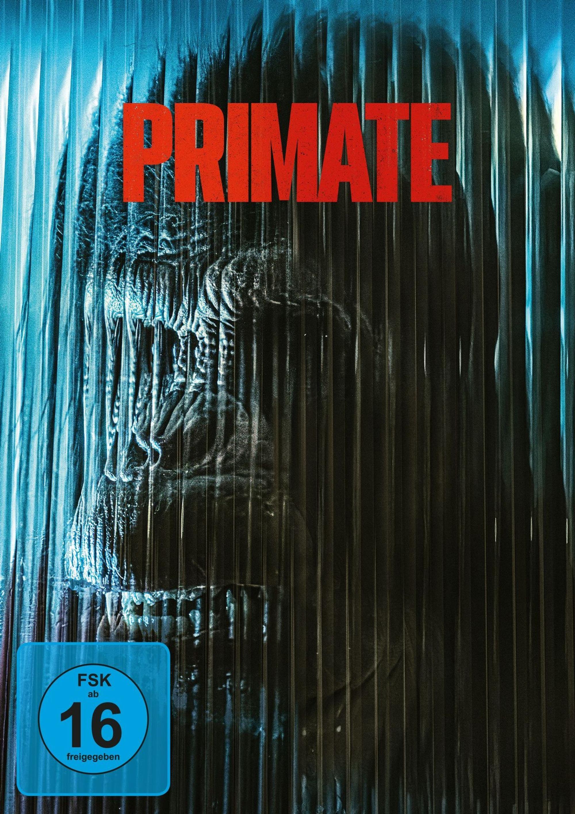 Zu Beginn des Films wirkt er noch ganz „süß“, doch im Verlauf des Horrorfilms „Primate“ wird der Affe Ben zum blutrünstigen Monster. (Bild: Leonine/2026 Paramount Pictures)