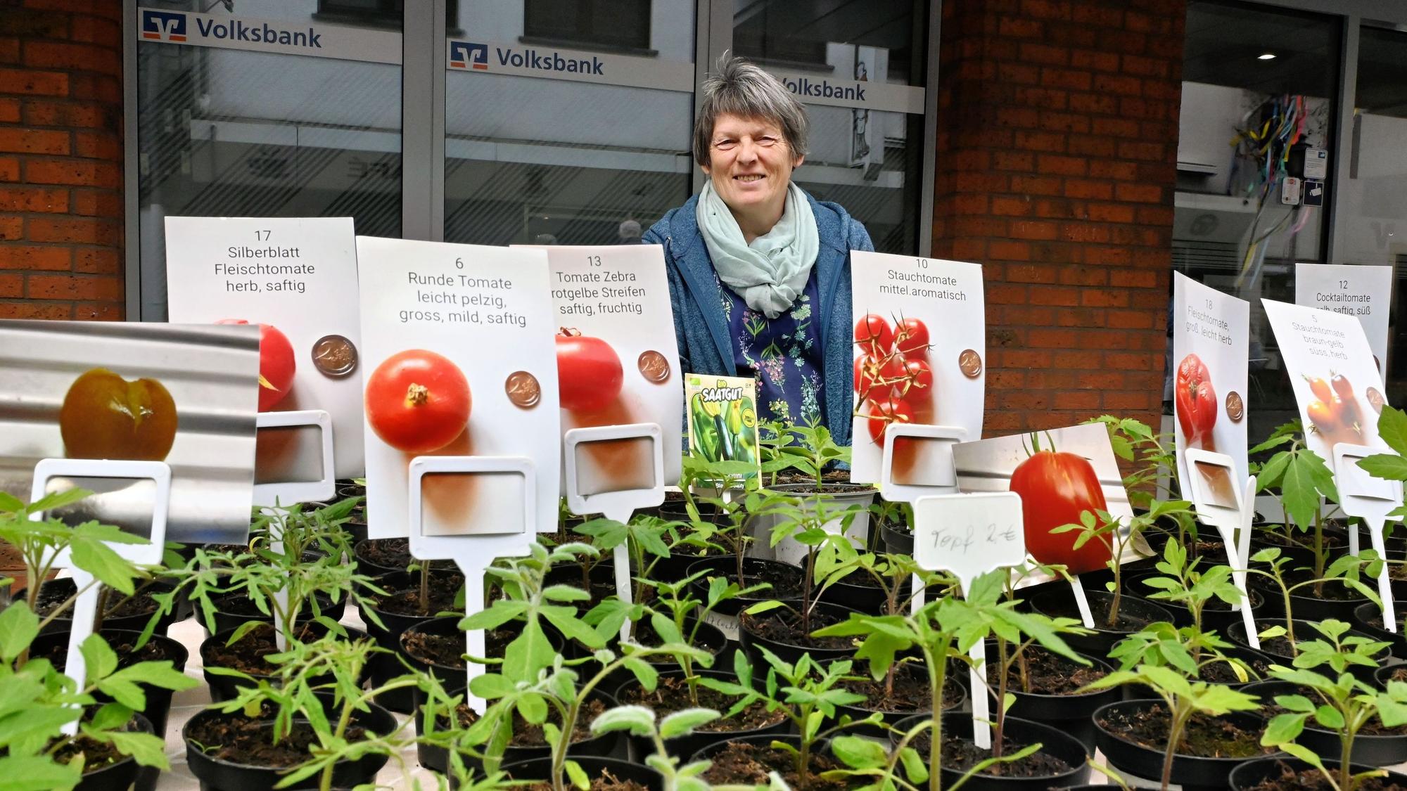 Eine Frau steht hinter Tomatenpflanzen, in deren Töpfen Schilder auf die Sorten hinweisen.