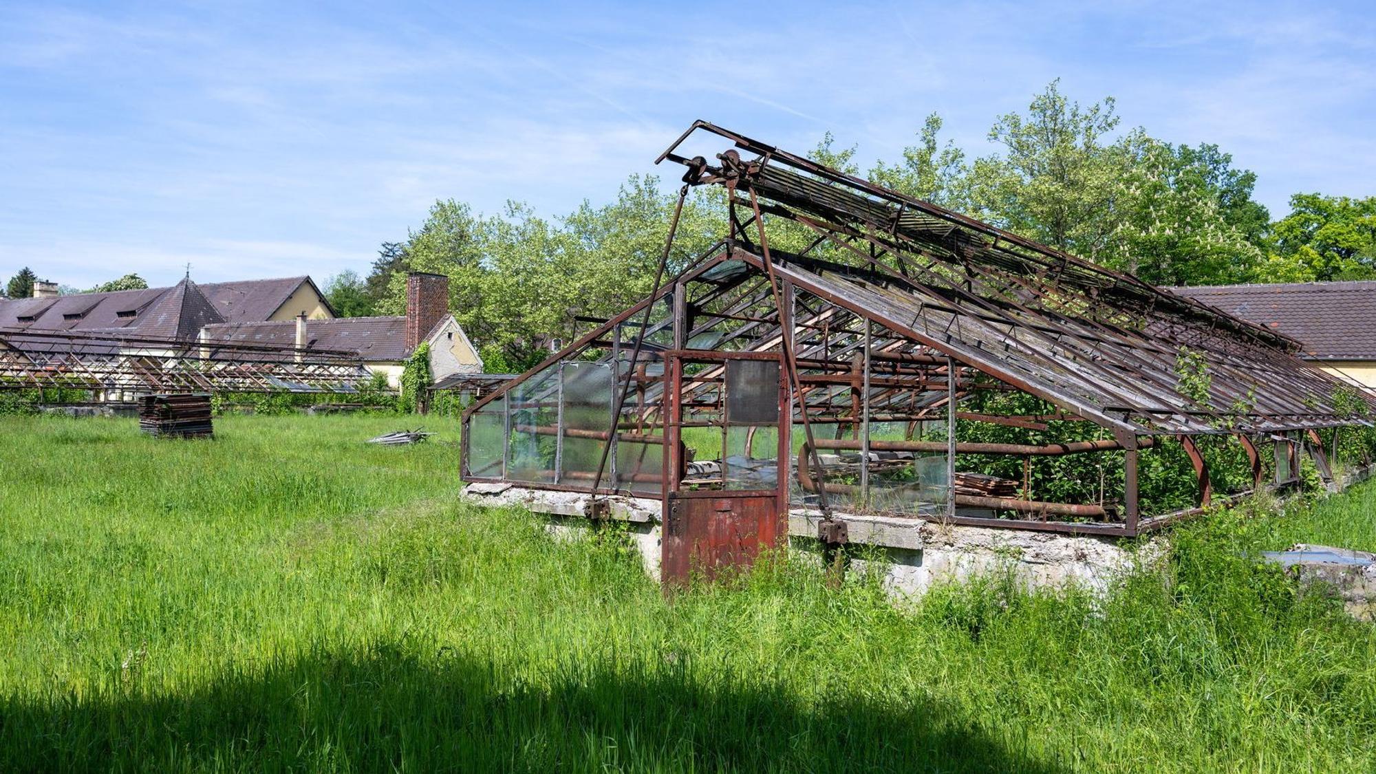 «Kräutergarten» am KZ Dachau