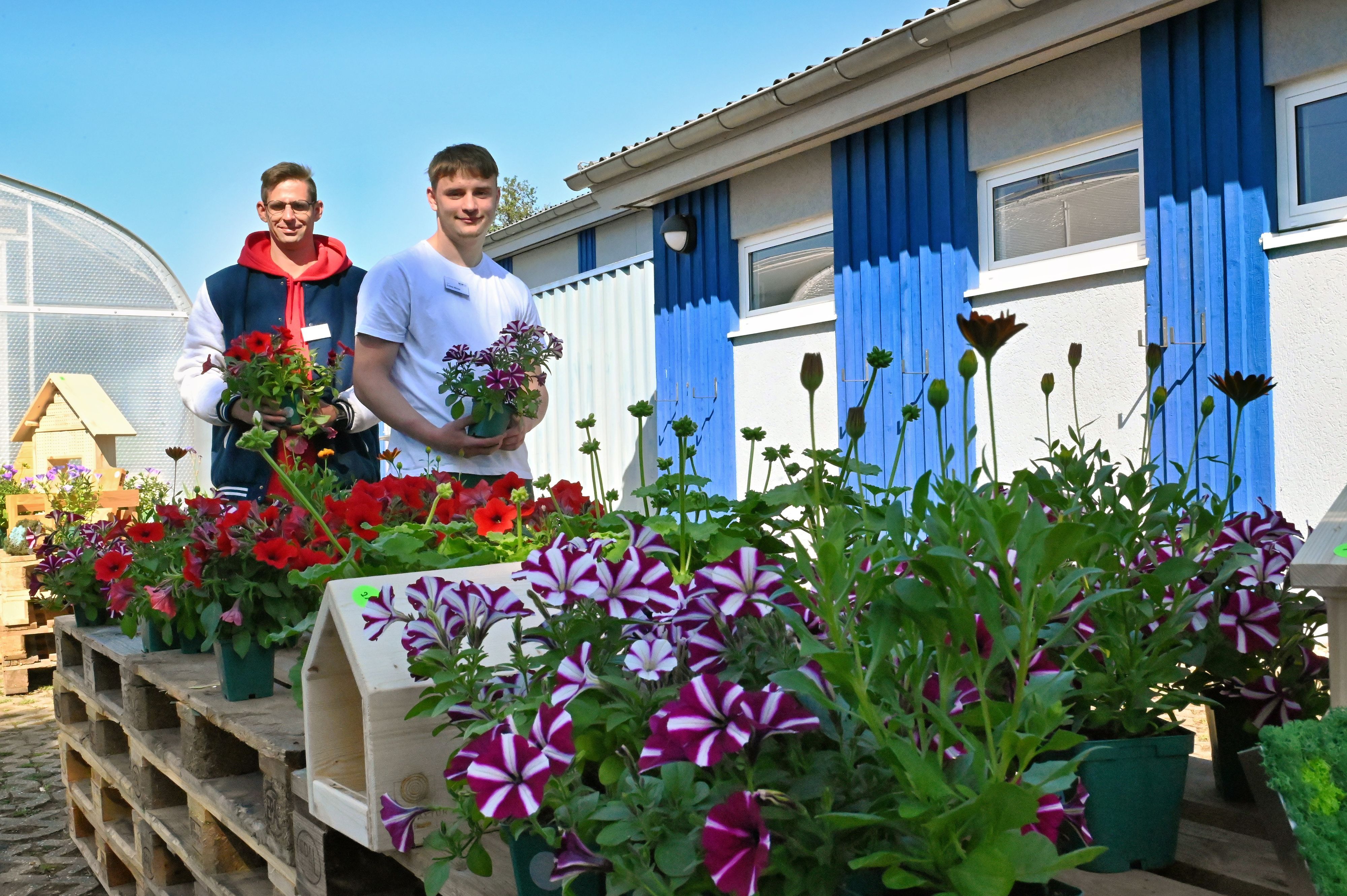 Patrick Bormer und Lukas Büser (v.l.) stehen vor einem blau-weißen Gebäude in einem Blumenmeer.