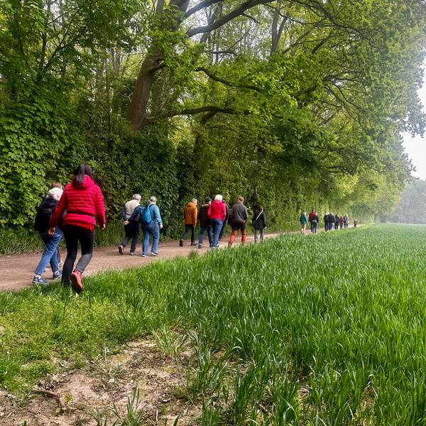 Teilnehmer der Wanderung durch den Weißer Rheinbogen, die durch die Forstverwaltung organisiert wurde.